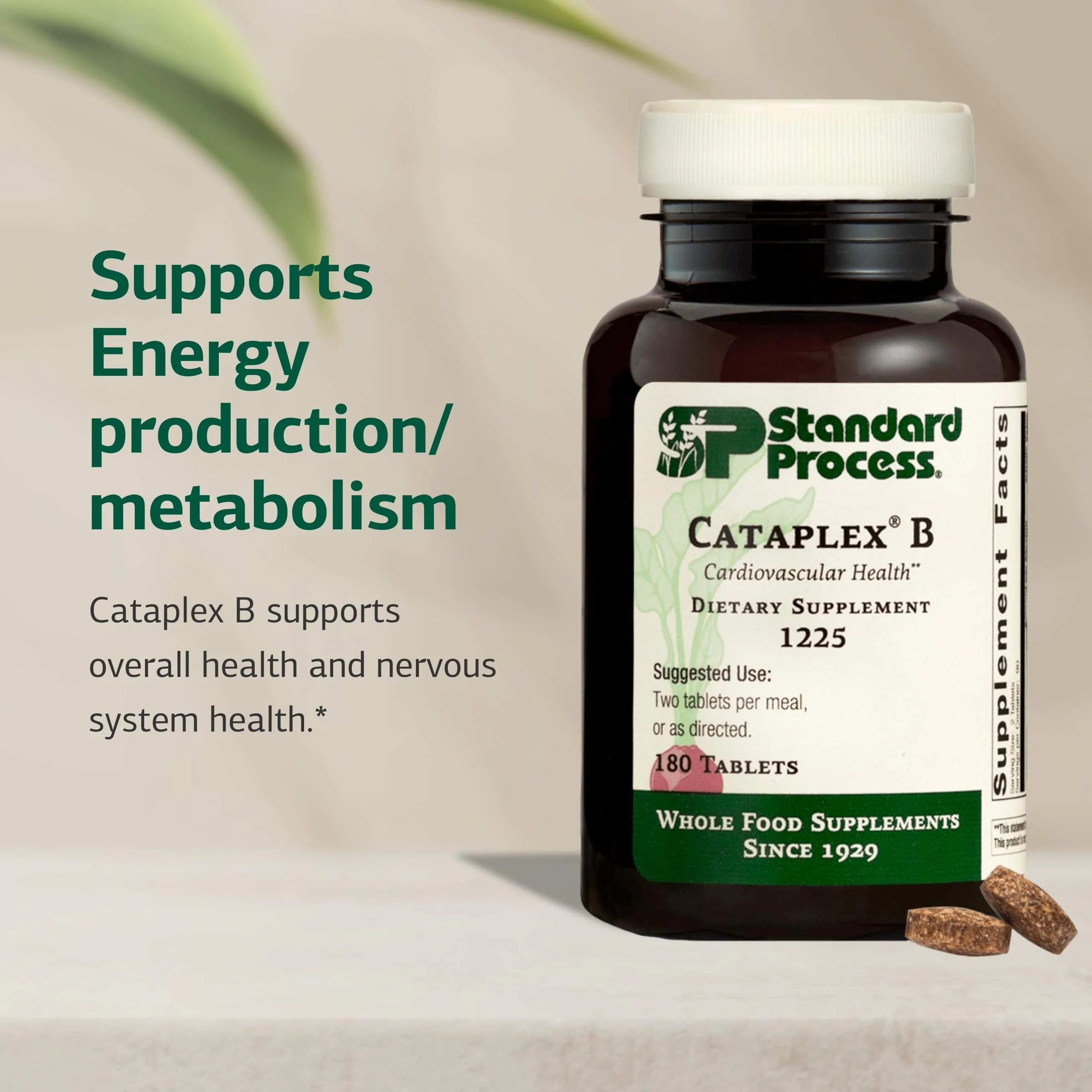 Standard Process Cataplex B - Nervous System & Heart Health Supplement - Contains B Vitamins for Energy Support - Supports Energy Metabolism - Non-Dairy & Non-Soy - 180 Tablets (90 Servings) - Image 6