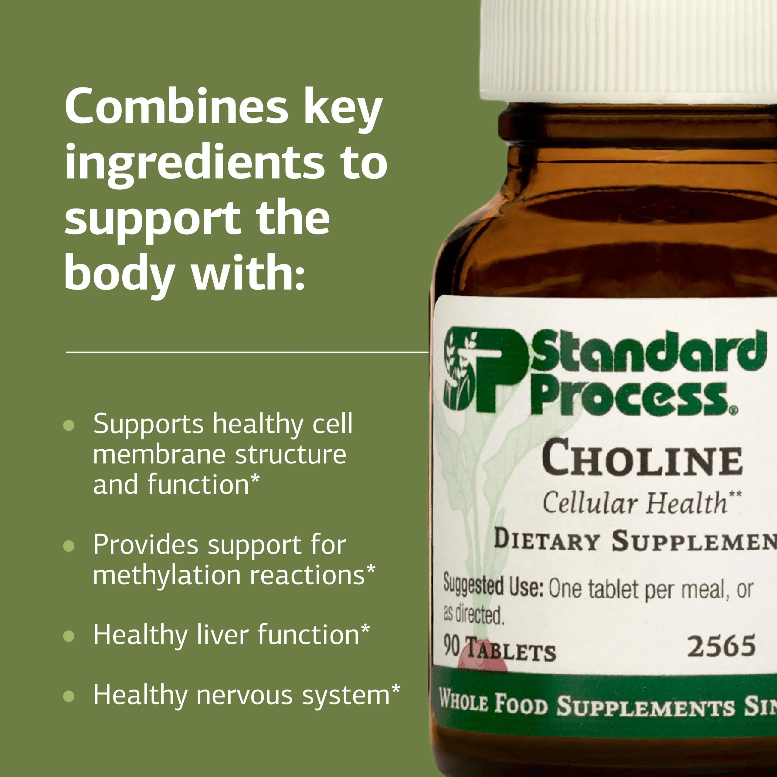 Standard Process Choline - Supports Healthy Fat Metabolism, Liver Health & Nervous System Function - Gluten-Free, Non-Dairy & Vegetarian -180 mg, 90 Tablets - Image 5