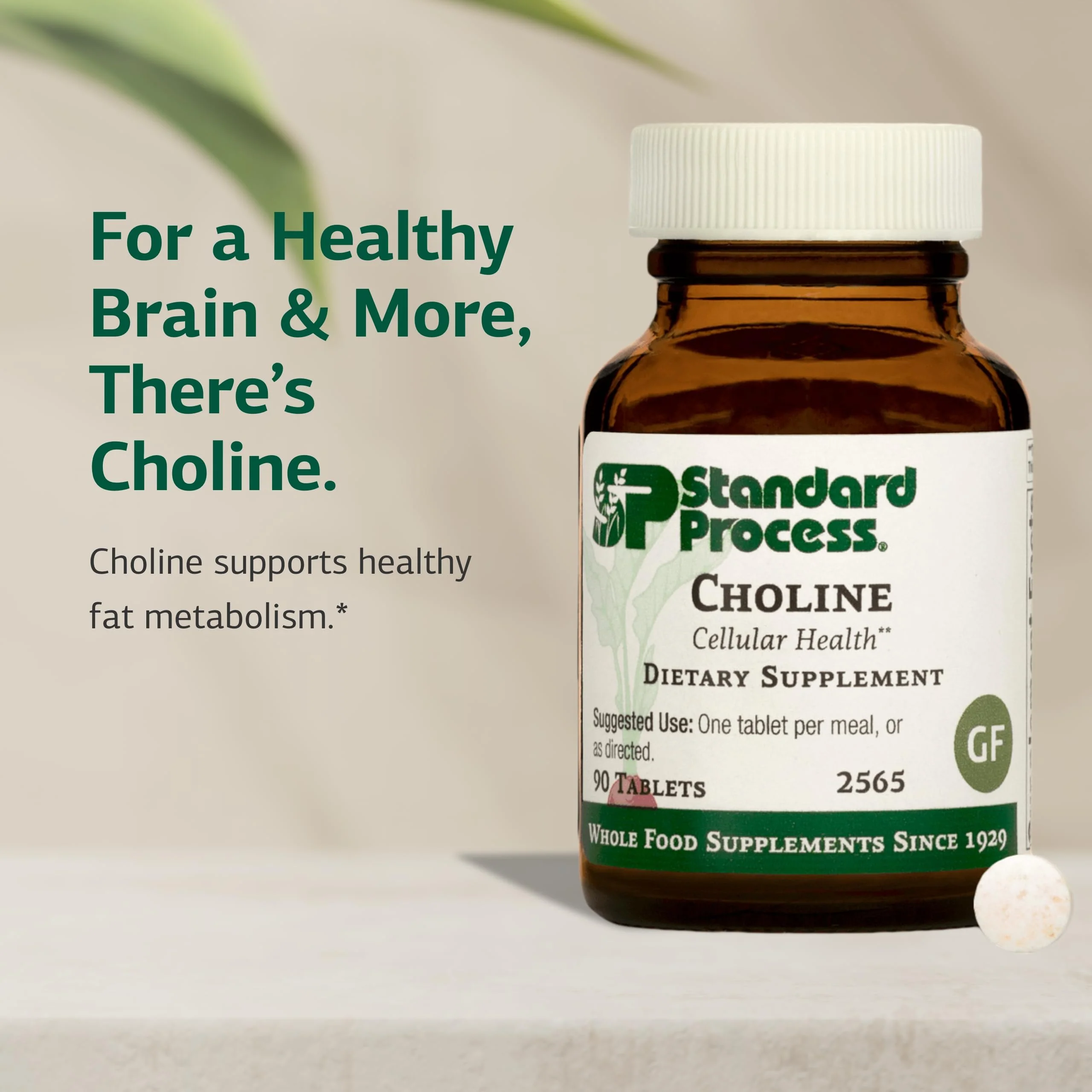 Standard Process Choline - Supports Healthy Fat Metabolism, Liver Health & Nervous System Function - Gluten-Free, Non-Dairy & Vegetarian -180 mg, 90 Tablets - Image 6