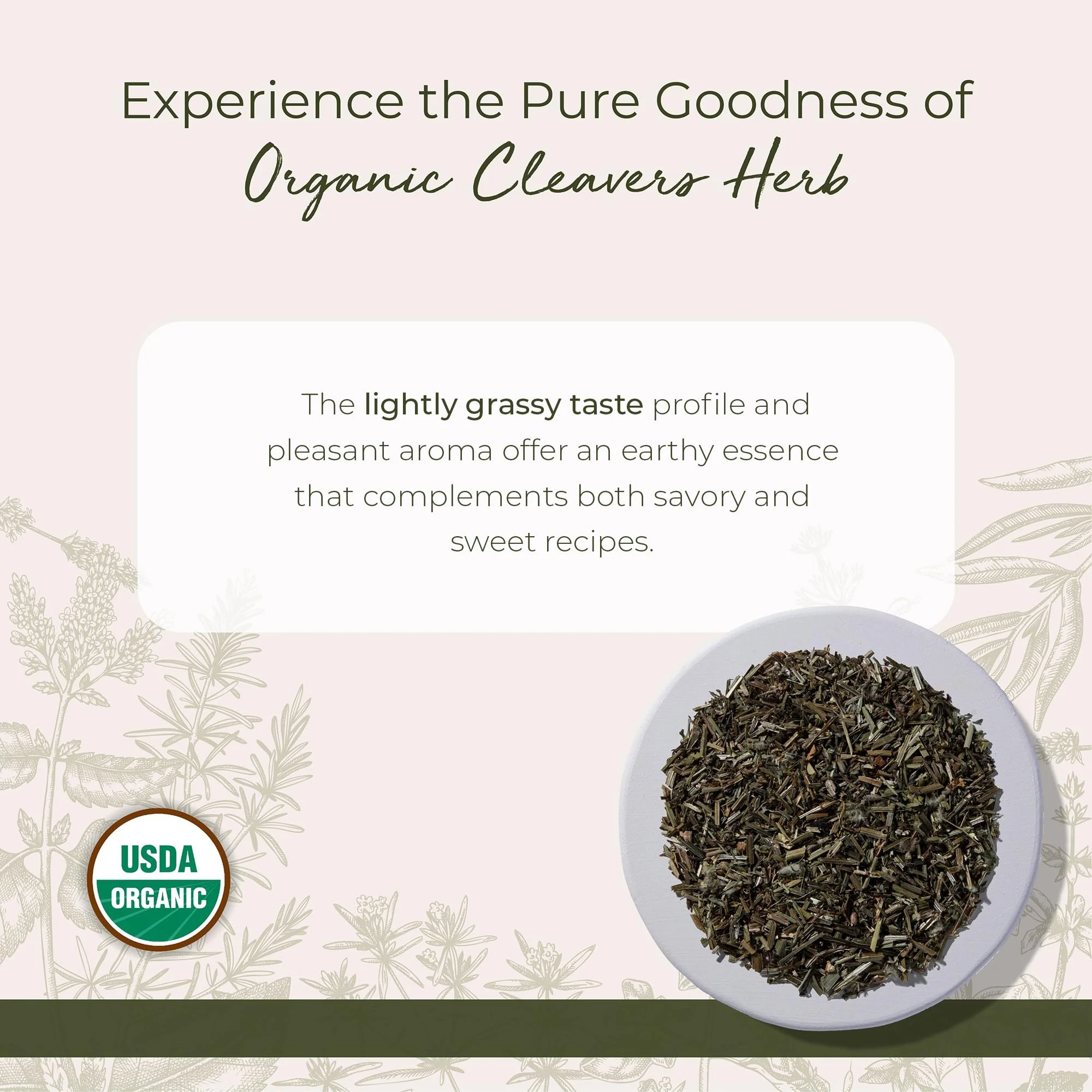 Starwest Botanicals Cleavers Herb Organic - Dried Loose Leaf Herb for Tea & Herbal Blends, Cut & Sifted, Certified Kosher, Non-GMO - Bulk 1 lb Bag - Image 6