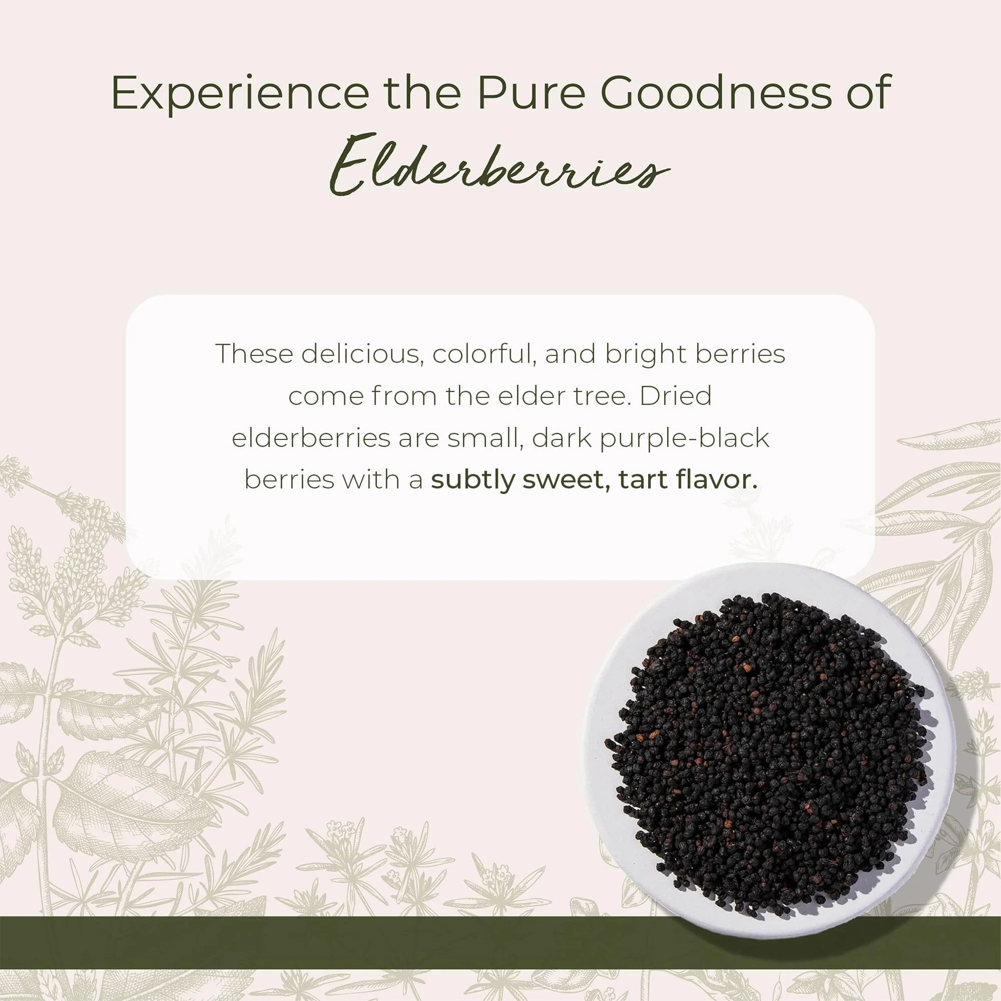 Starwest Botanicals Whole Elderberries - Dried Elderberries for Syrup, Tea, Gummies, & Jam, Certified Kosher, Wildcrafted Natural Berries - Bulk 1 lb Bag - Image 6