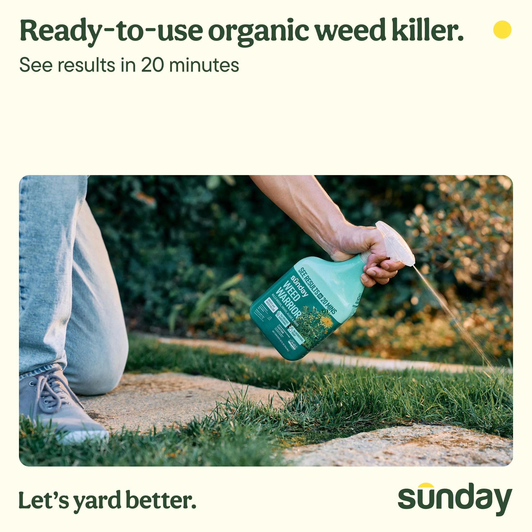 Sunday Weed Warrior, 32oz, 2 Pack - Grass & Weed Killer - Organic, Ready-to-Use Weed Killer Spray - Herbicide Spot Treatment - Kills Weeds, Grass, Algae and Moss - Image 3