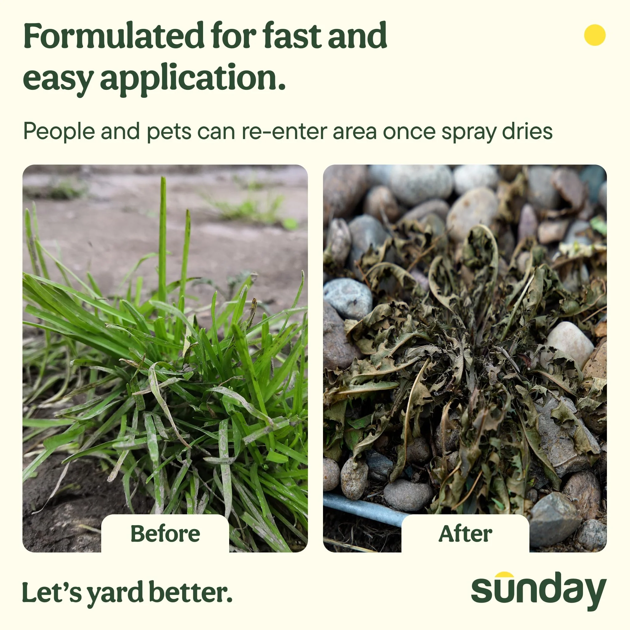 Sunday Weed Warrior, 32oz, 2 Pack - Grass & Weed Killer - Organic, Ready-to-Use Weed Killer Spray - Herbicide Spot Treatment - Kills Weeds, Grass, Algae and Moss - Image 5