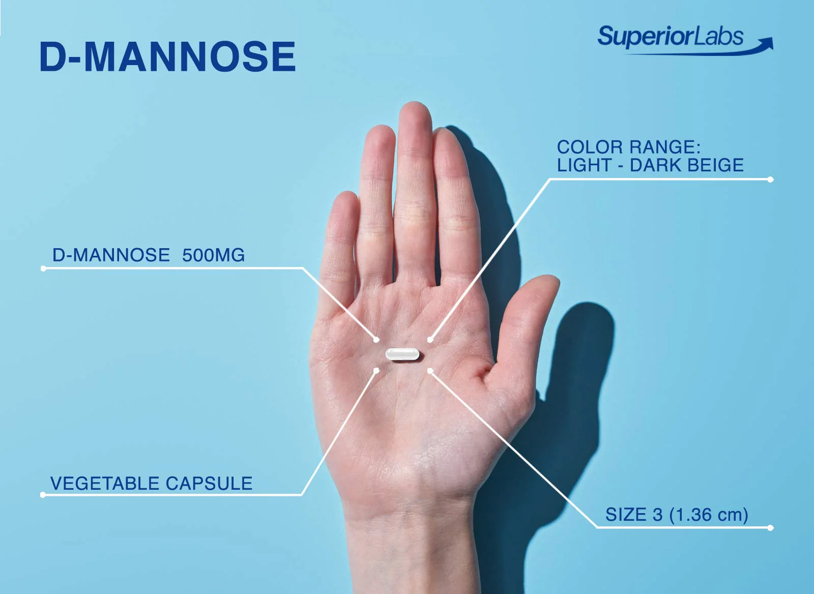 Superior Labs D-Mannose 500 mg, Pure Non-GMO Optimal Absorption Prebiotic, Urinary Tract, Bladder & Kidney UTI Support, Digestive & Liver Health Aid, IC Relief for Women & Men, 120 Veg Caps - Image 5