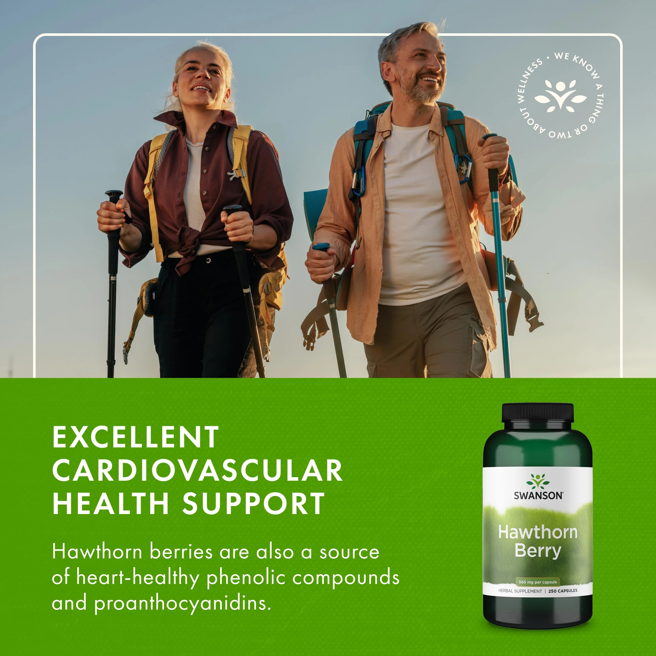 Swanson Hawthorn Berry Full Spectrum Circulation Support Supplement for Heart-Health-Conscious Adults with Antioxidant Flavonoids (250 Capsules, 565 mg Each) - Image 3