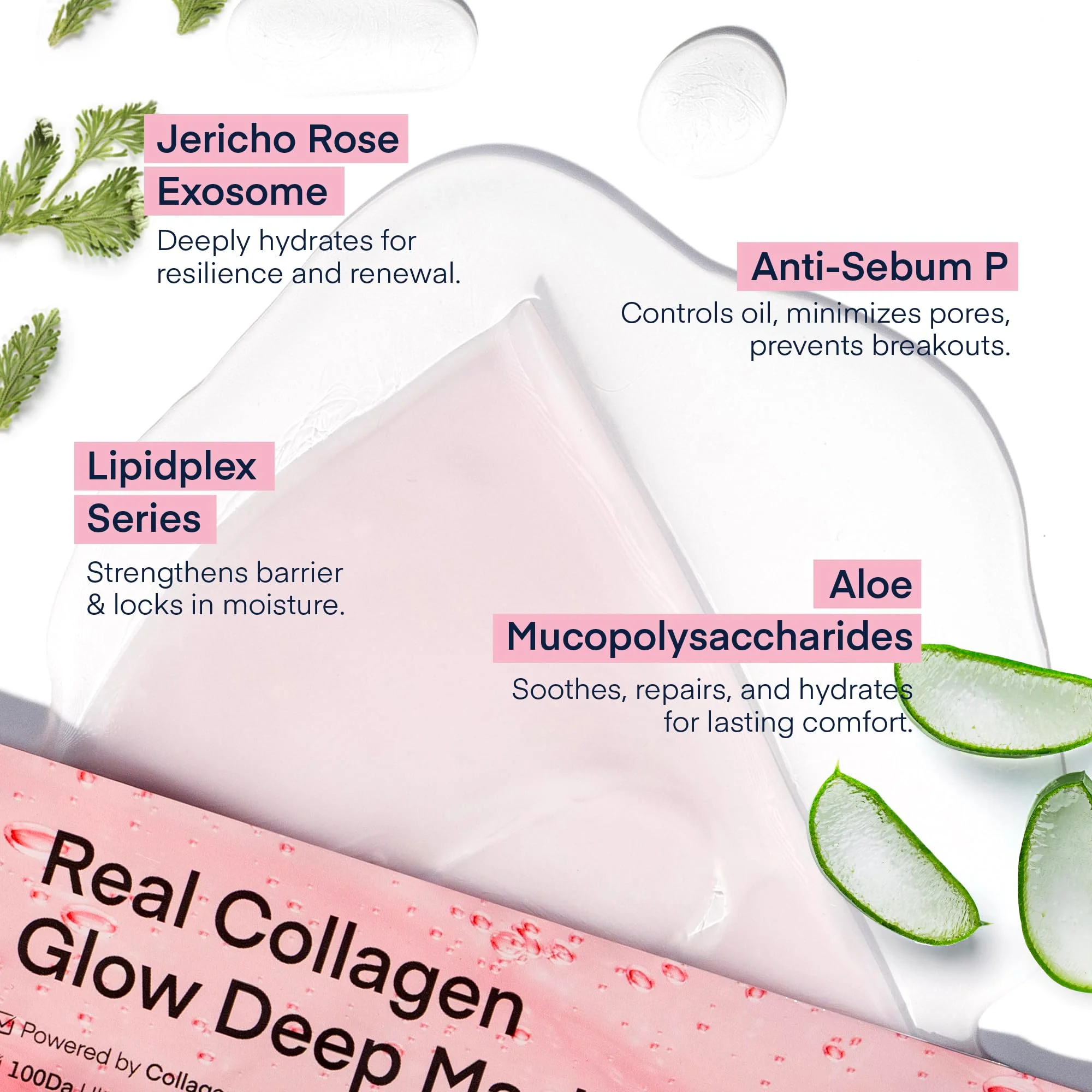 TEREZ & HONOR Korean Real Deep Bio Collagen Face Mask - 4ea x 33g Hydrogel Overnight Masks for Deep Hydration, Glowing, Pore Minimizing, Elasticity, Fragrance-Free, 100 Da Ultra-Low Molecular Collagen - Image 2