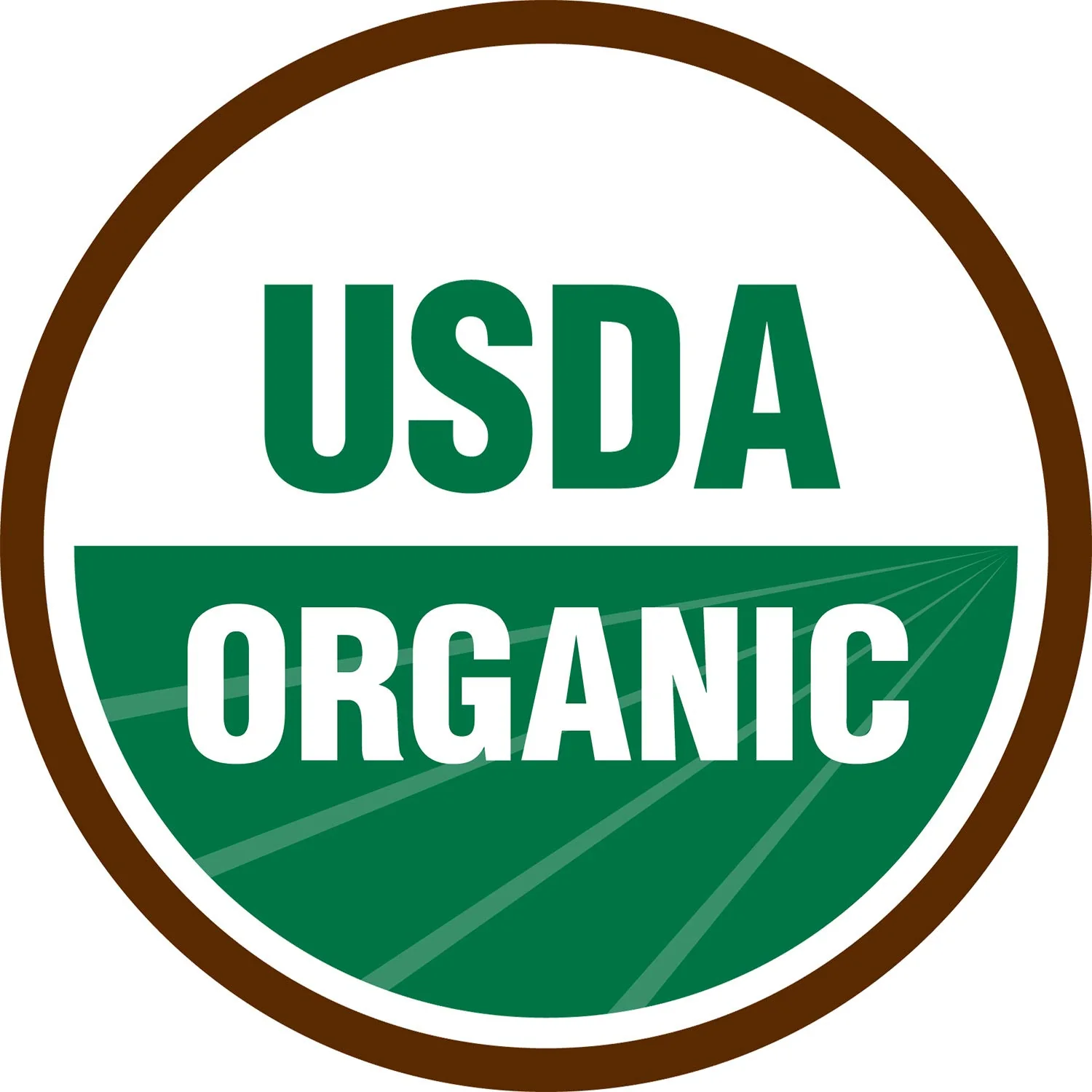 Terrasoul Superfoods Organic Psyllium Husk Powder, 1 Lb - Superfine Texture | 99% Purity | Perfect for Gluten-Free Baking | No Purple Breads - Image 2