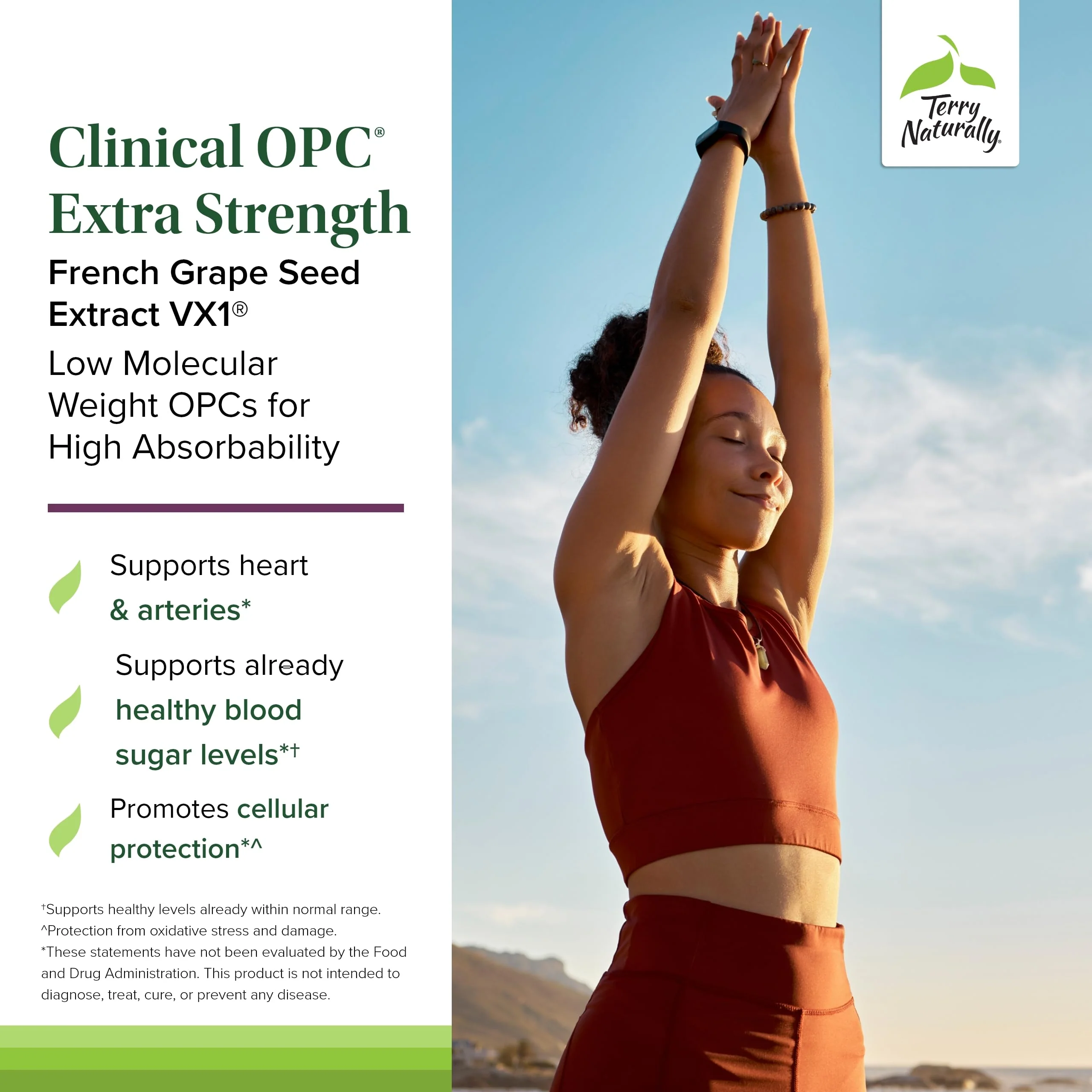 Terry Naturally Clinical OPC Extra Strength - Healthy Heart & Artery Support - Aids Brain Health & Function for Focus and Concentration - Offers Antioxidant Activity - 400 mg, 90 Softgels - Image 6