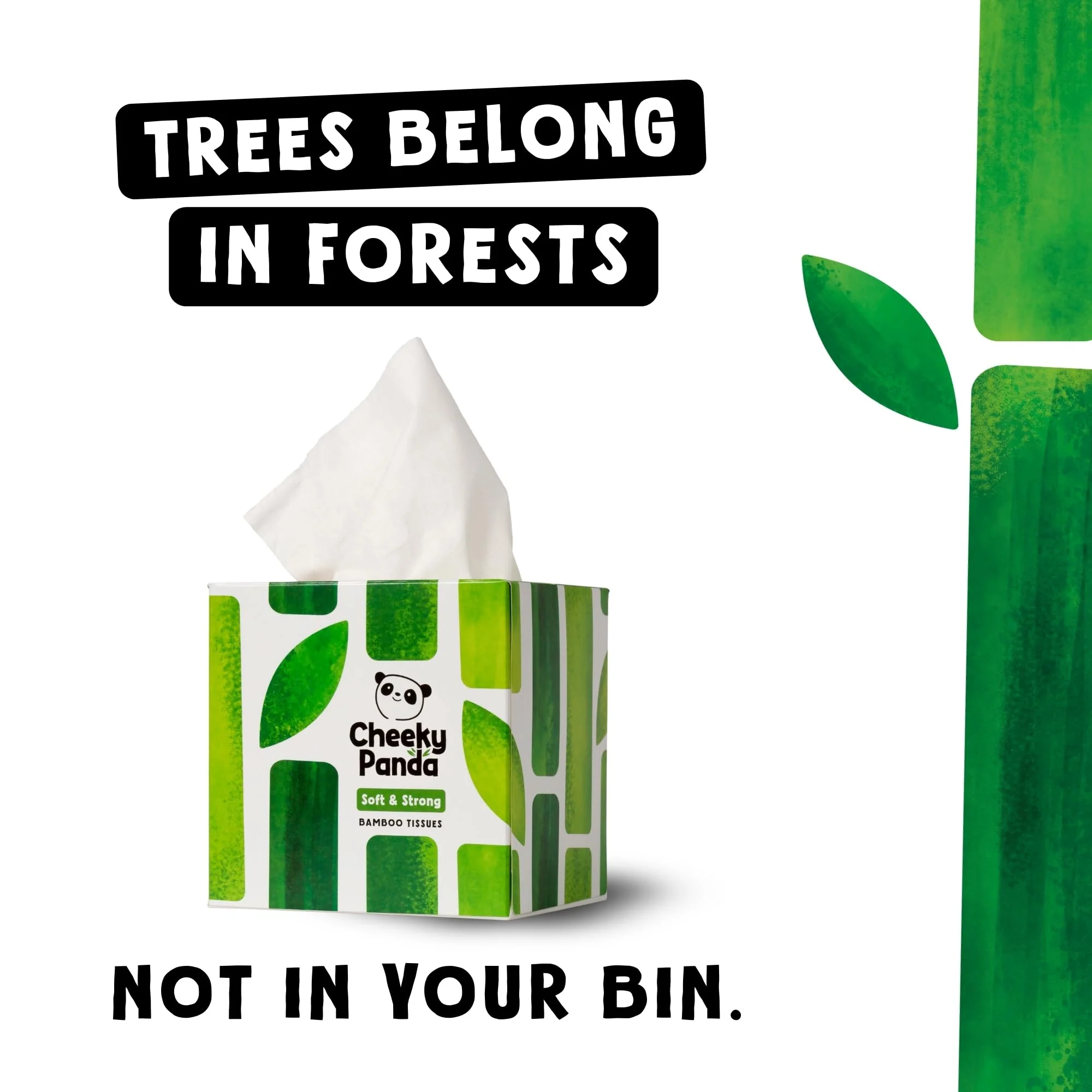The Cheeky Panda Bamboo Facial Tissues Boxes | 12 x Tissue Boxes | Soft 3 Ply Bamboo Tissue Paper Bulk | Sustainable Tissues Cube Box - Image 2