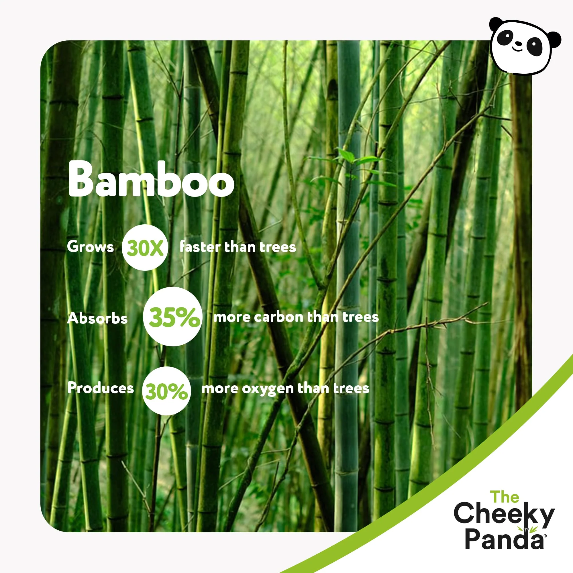 The Cheeky Panda Bamboo Toilet Paper Bulk | 12 Family Sized Rolls with 360 Soft Sheets Each (4320 Sheets) | Super Strong 3 Ply Biodegradable Toilet Paper - Image 4