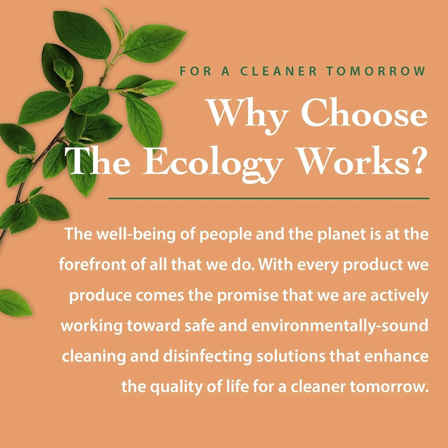 The Ecology Works- Plant-Based Dog & Cat Allergy Spray, Dander Remover & Dust Mite Waste Reducer for Relief from Allergies - Cleans Home, Bedding & Furniture Naturally, Fragrance-Free - Image 4