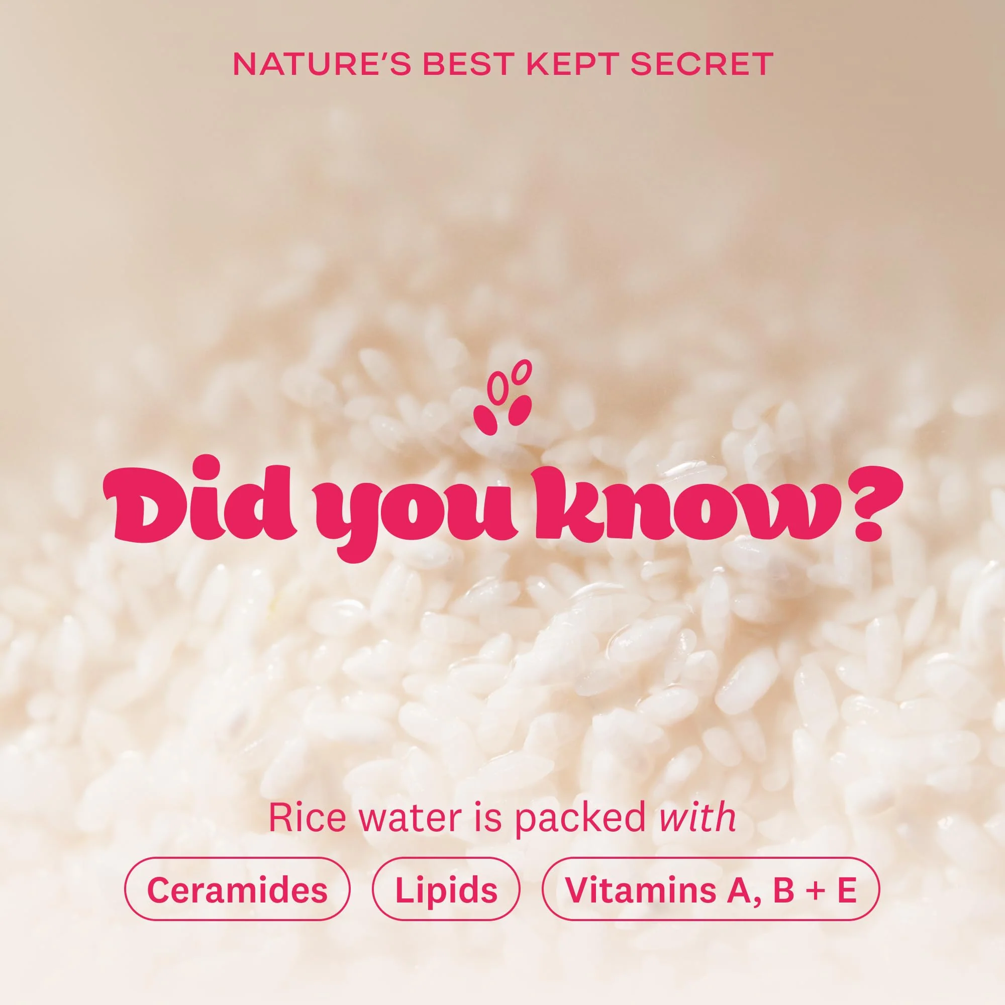 The Face Shop Rice Water Bright Vegan Cream - Instant Moisturization Quick-Absorbing Formula - Vegan, Brightening - Rice Water, Niacinamide, Hyaluronic Acid - Moisturizer Face Cream - Korean Skin Care - Image 5