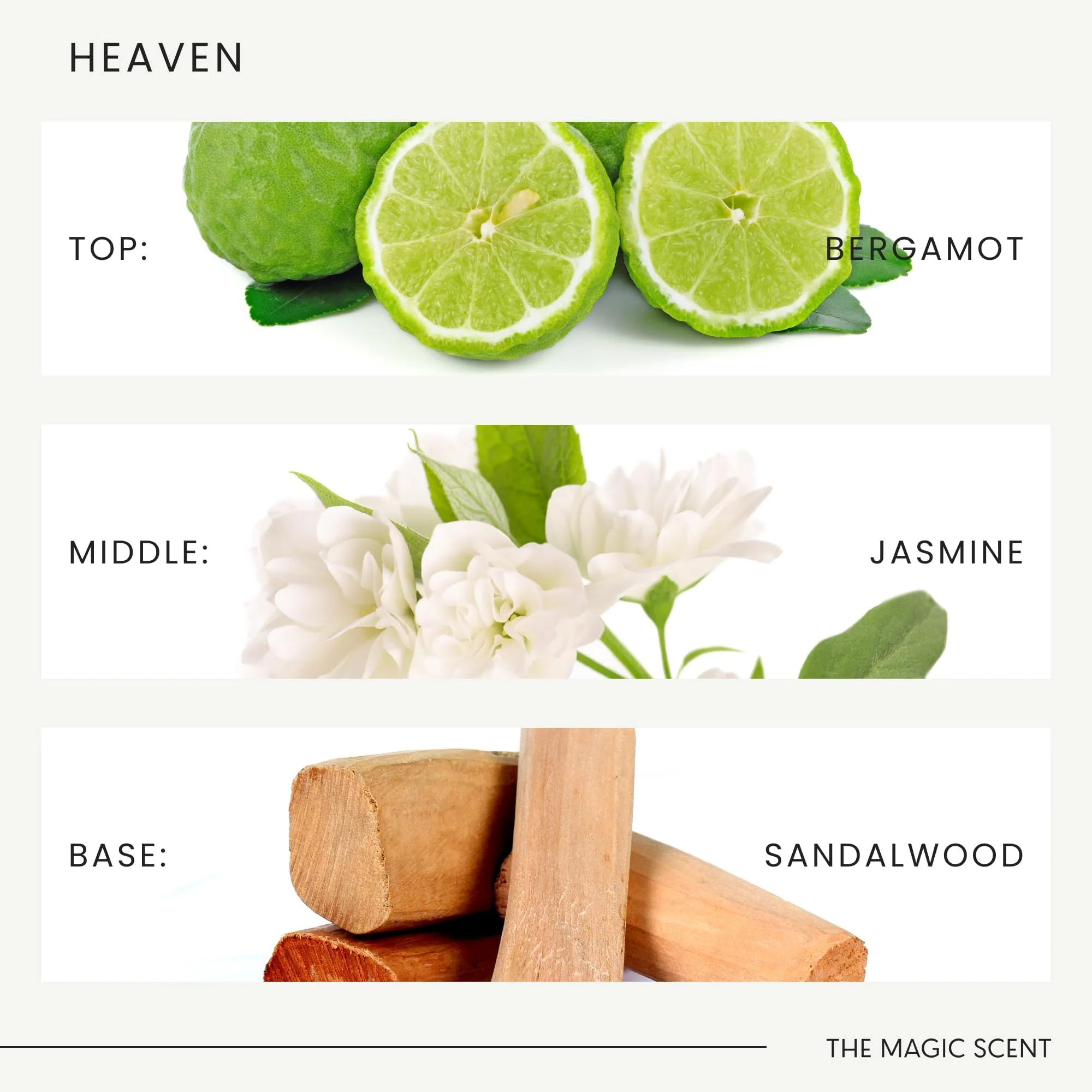 The Magic Scent Heaven Hotel Scent Diffuser Oil - Cold-Air & Ultrasonic Fragrance Oil for Diffuser Inspired by The Aria Hotel, Las Vegas - Essential Oils for Diffusers Aromatherapy - 4 fl oz, 120 mL - Image 7