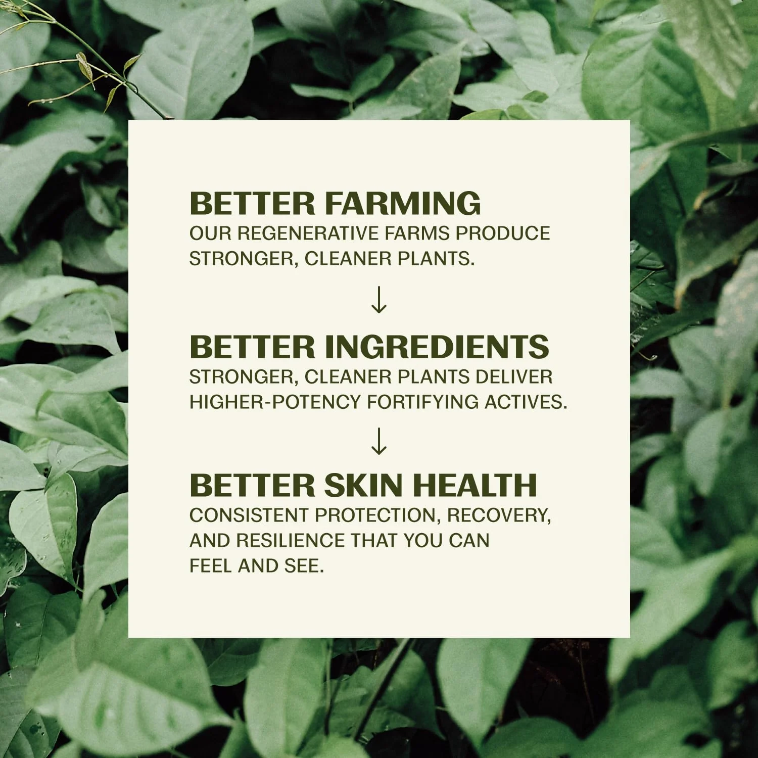Thrive Natural Care Face Scrub - Gentle Exfoliating Face Wash Provides Deep Cleanse, Improves Skin Texture, Unclogs Pores - Vegan, Oil Free Exfoliator - Image 4