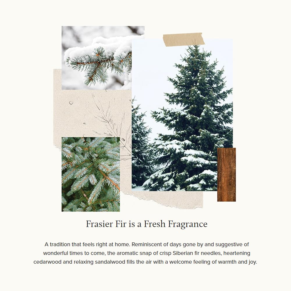 Thymes Frasier Fir Pine Needle Candle – Holiday Candles for Home Scented with Notes of Crisp Siberian Fir, Cedarwood & Sandalwood – Christmas Decor – Christmas Gifts for Women & Men (6.5 oz) - Image 8