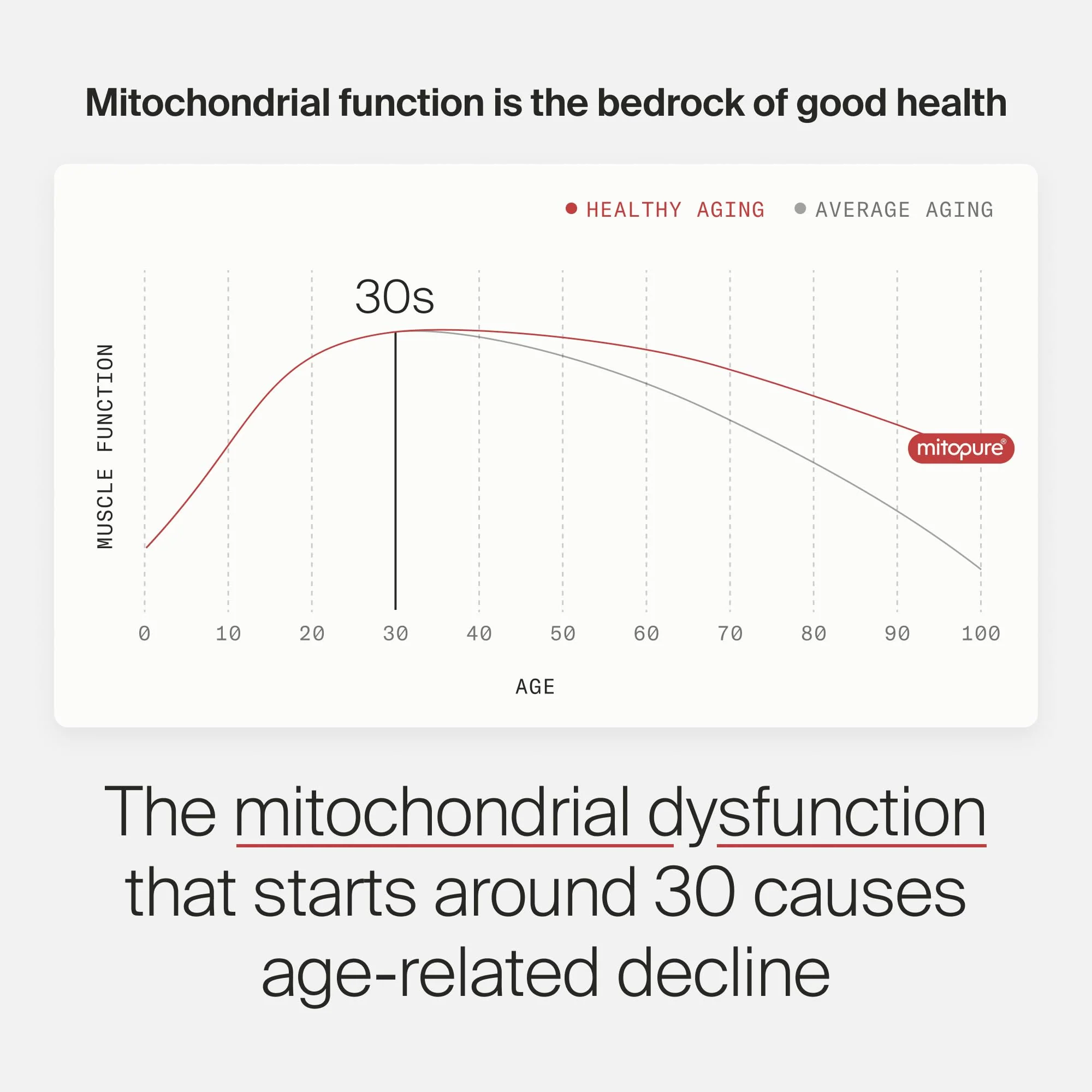 Timeline Mitopure Urolithin A Supplement - Clinically Proven Support for Healthy Aging and Cellular Renewal - Mitoceutical for Muscle Strength and Longevity - 60 Softgels - Image 4