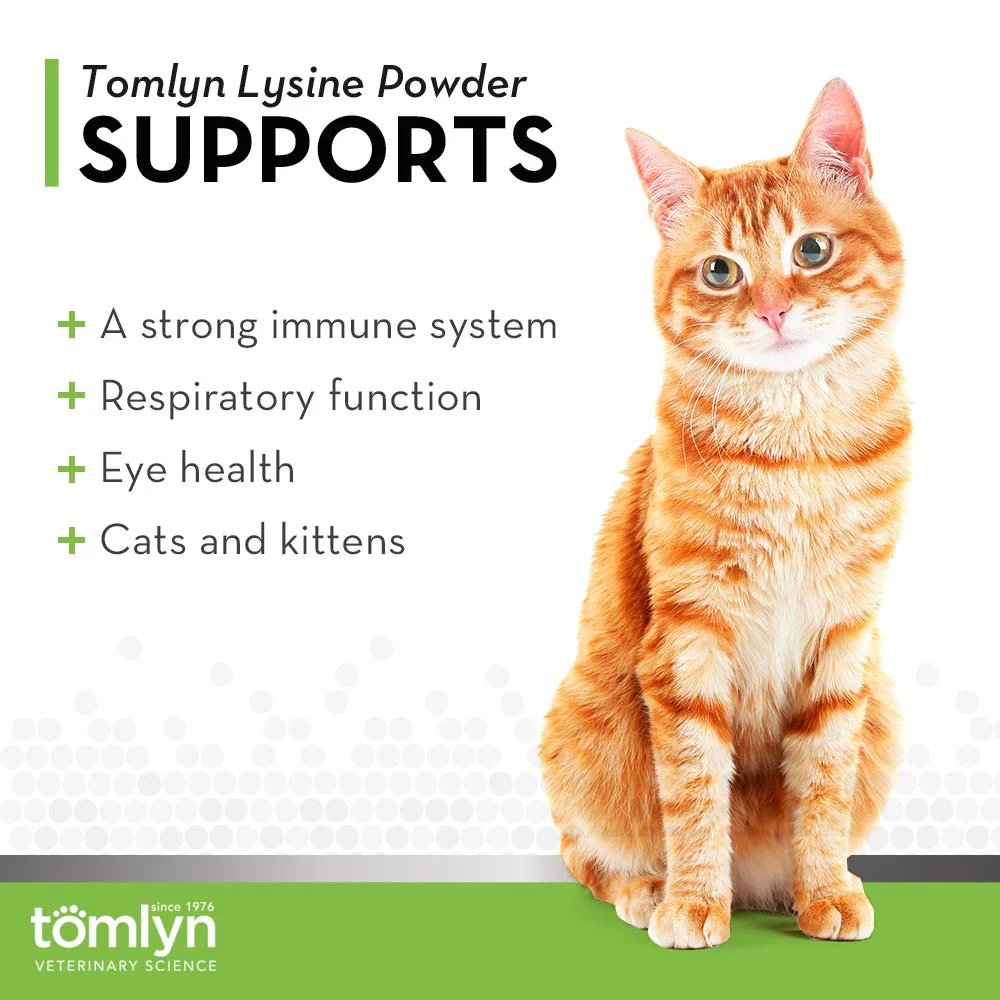 Tomlyn Immune Support Daily L-Lysine Supplement, Fish-Flavored Lysine Powder for Cats and Kittens, 3.5oz - Image 7