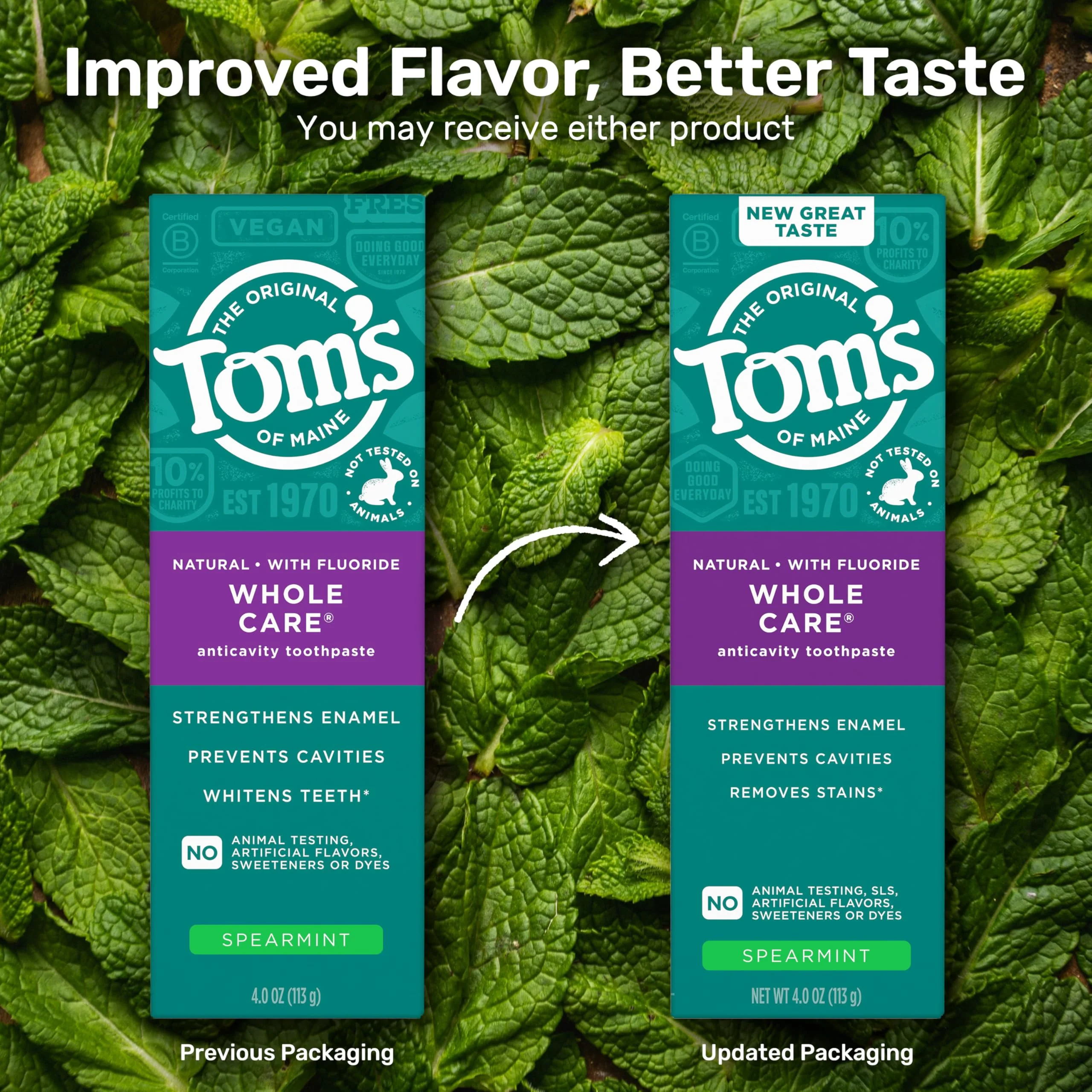 Tom's of Maine Whole Care Natural Toothpaste with Fluoride, Spearmint, 4 Ounce (Pack of 3), (Packaging May Vary) - Image 2