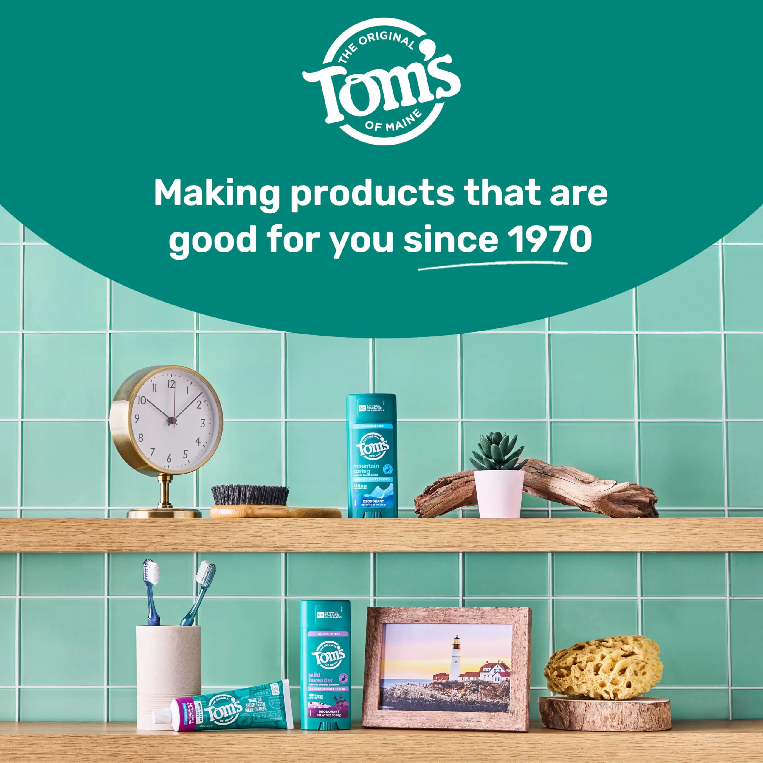 Tom's of Maine Whole Care Natural Toothpaste with Fluoride, Spearmint, 4 Ounce (Pack of 3), (Packaging May Vary) - Image 9