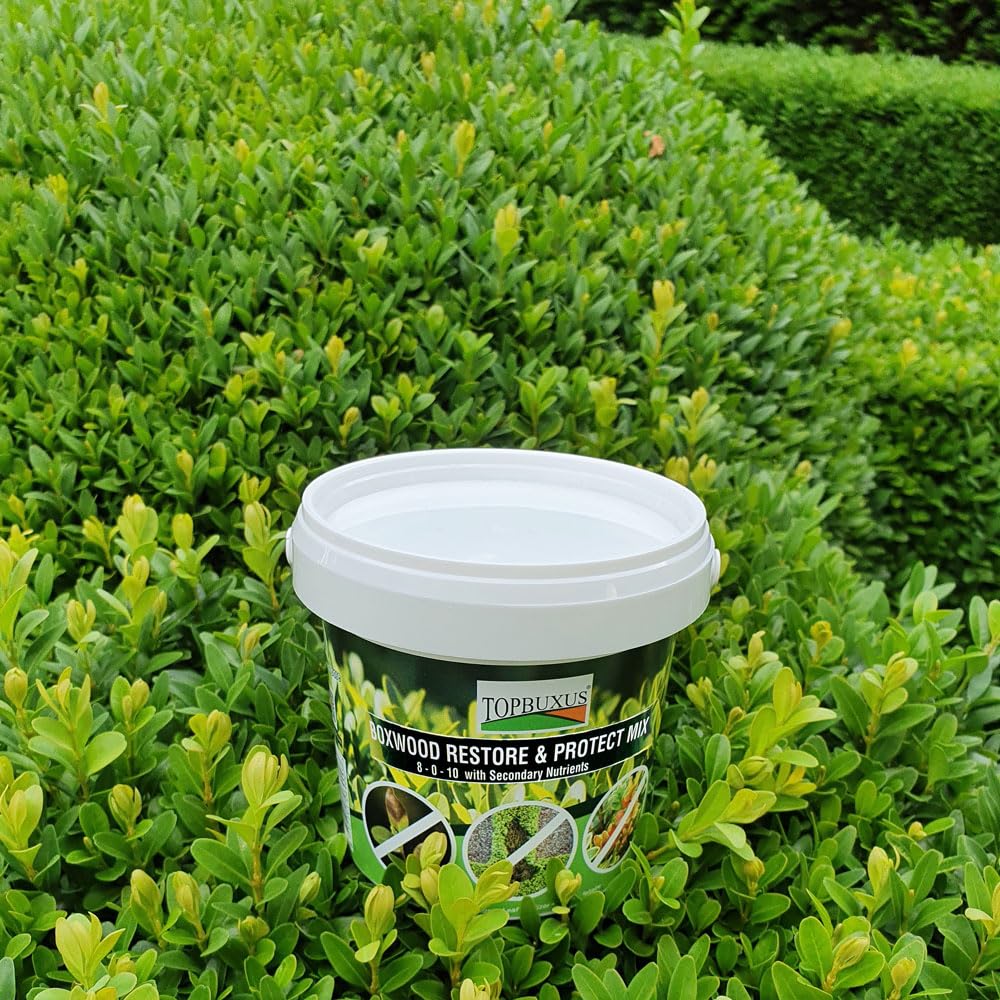TOPBUXUS Boxwood Restore & Protect Mix 40 Tablets for 4,000ft2