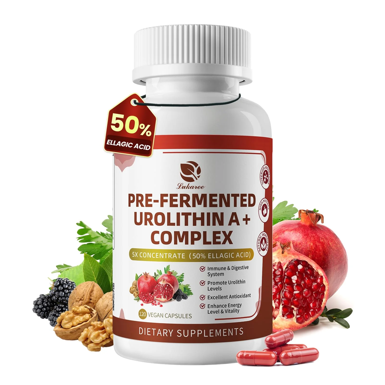 Triple-Strength Urolithin A+ Complex for Cellular Health, Function & Well-Being | Concentrated Pre-Fermented Urolithin A+ Plus Wormwood, Psyllium Husk & DGL for Gut Support–Plant Based, GMP, 120 Count