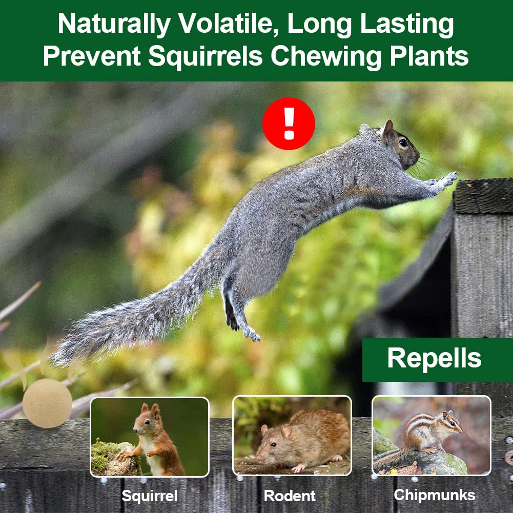 TSCTBA Squirrel Repellent Outdoor, Chipmunk Repellent Outdoor, Squirrel Repellent for Attic and Cars Engines, Ultra Powerful Squirrel Deterrent, Squirrel Repellent for Bird Feeders and Garden-8P - Image 3