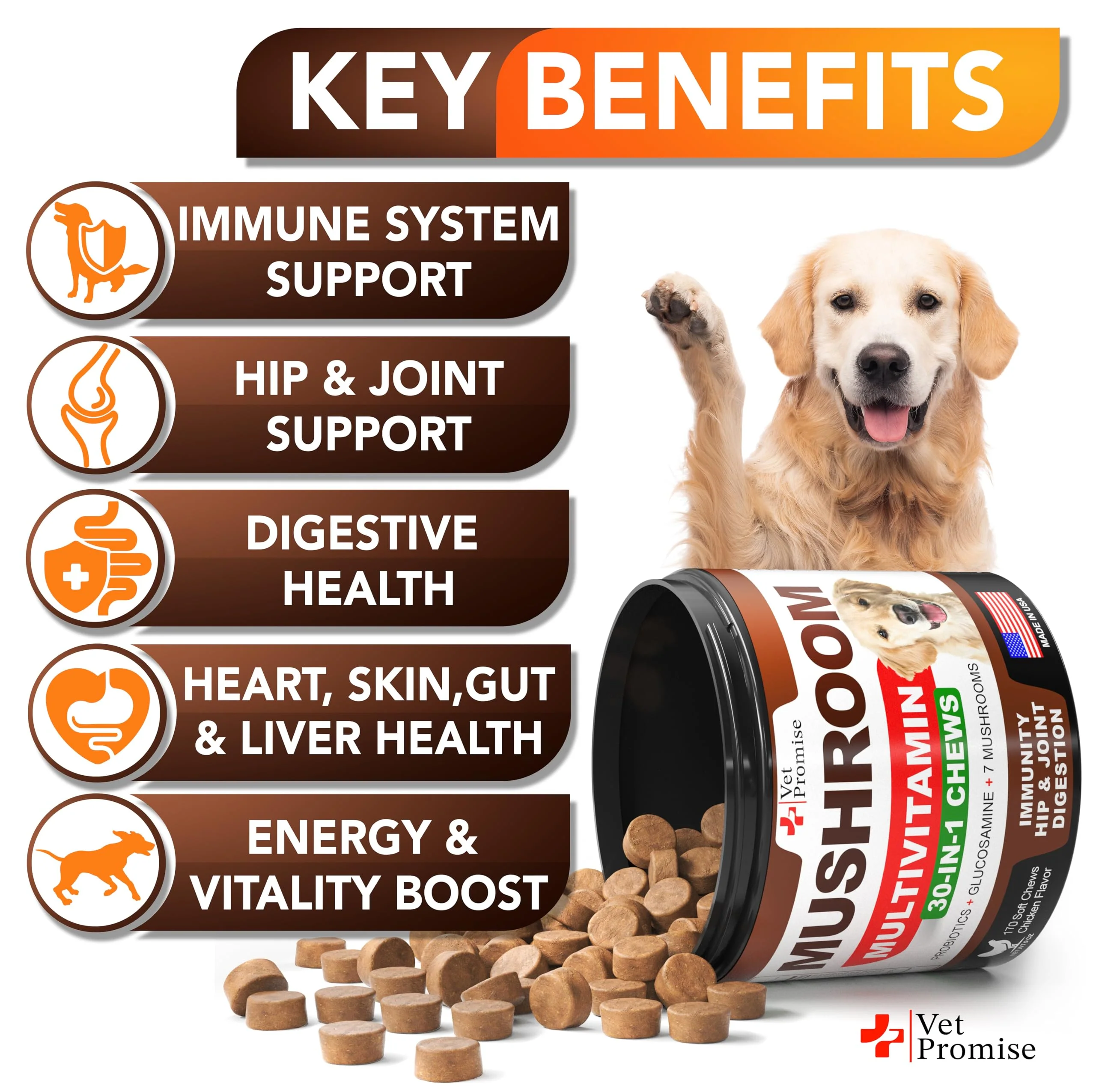 Turkey Tail Mushroom for Dogs - 170 Chews - Mushroom Supplement for Dogs - Lions Mane - Reishi - Immunity Support Multivitamin Vitamins - Joint Health - Energy - Gut - Skin - Made in USA - Image 4