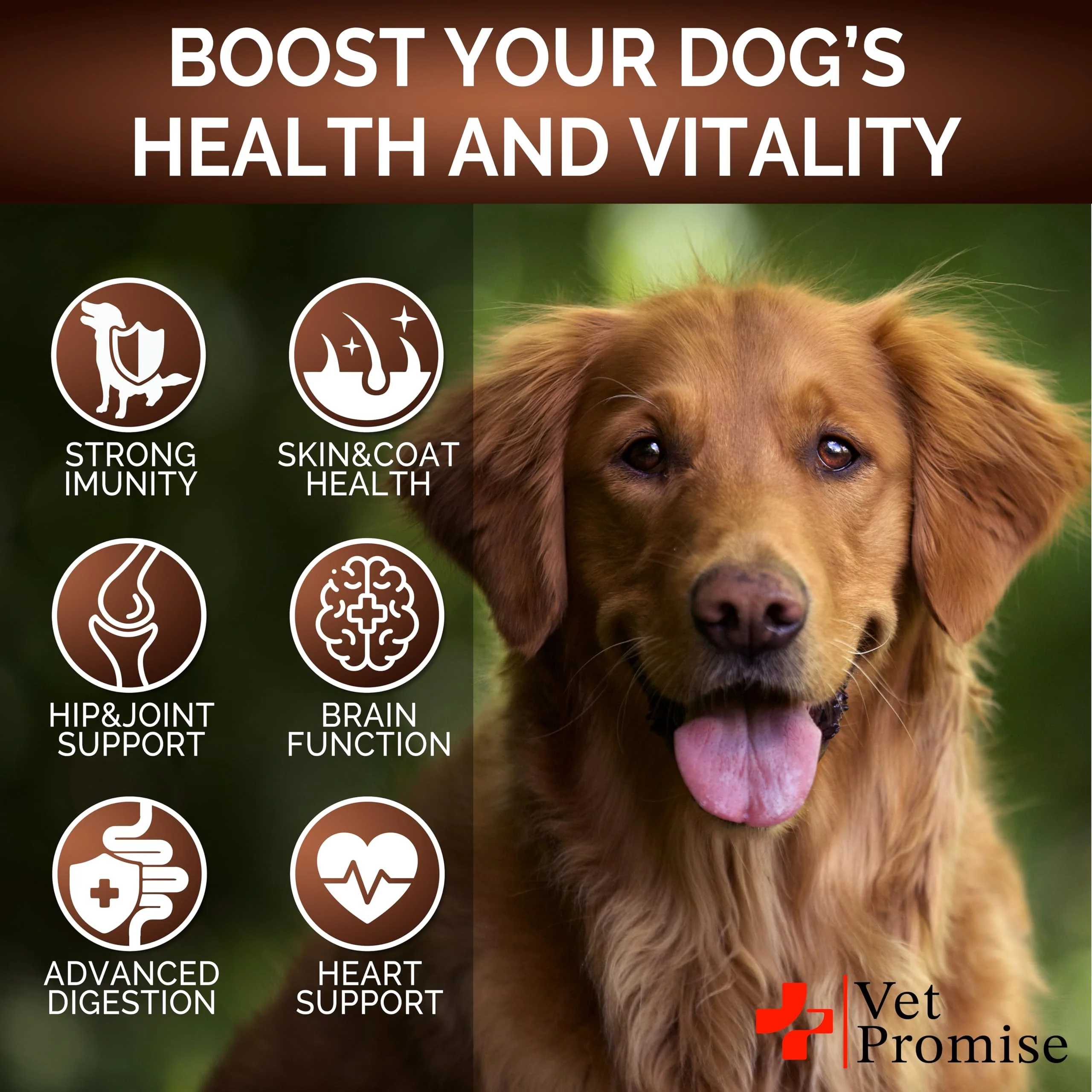 Turkey Tail Mushroom for Dogs - 170 Chews - Mushroom Supplement for Dogs - Lions Mane - Reishi - Immunity Support Multivitamin Vitamins - Joint Health - Energy - Gut - Skin - Made in USA - Image 5