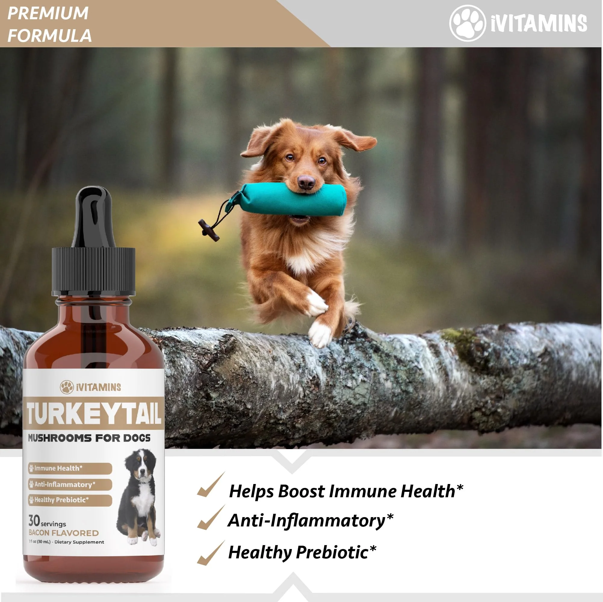 Turkey Tail Mushroom for Dogs | Helps to Boost The Immune System, is a Healthy Prebiotic, & Much More | Turkey Tail for Dogs | Mushrooms for Dogs | Dog Mushroom Supplements | 1 fl oz - Image 3