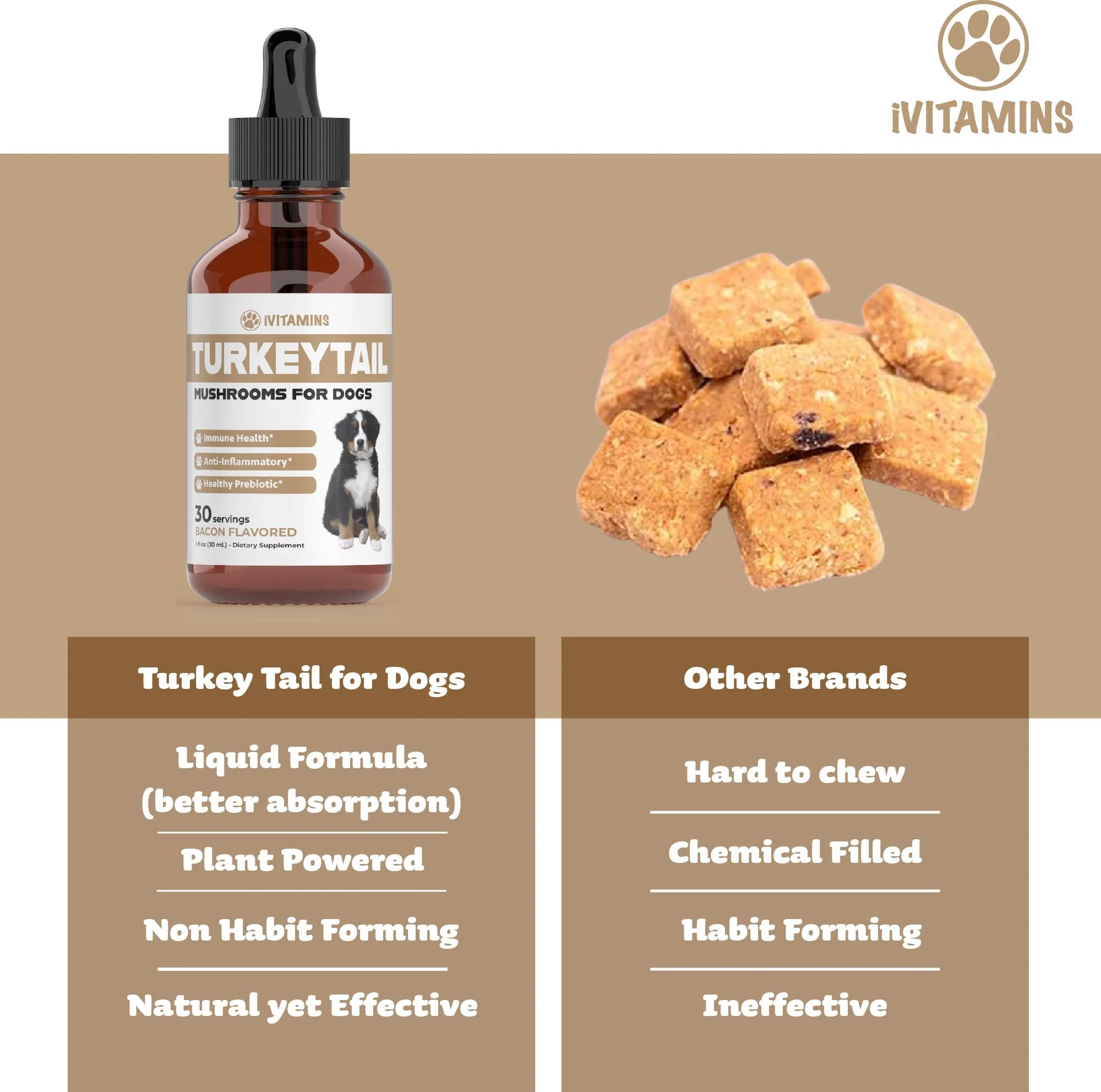 Turkey Tail Mushroom for Dogs | Helps to Boost The Immune System, is a Healthy Prebiotic, & Much More | Turkey Tail for Dogs | Mushrooms for Dogs | Dog Mushroom Supplements | 1 fl oz - Image 4