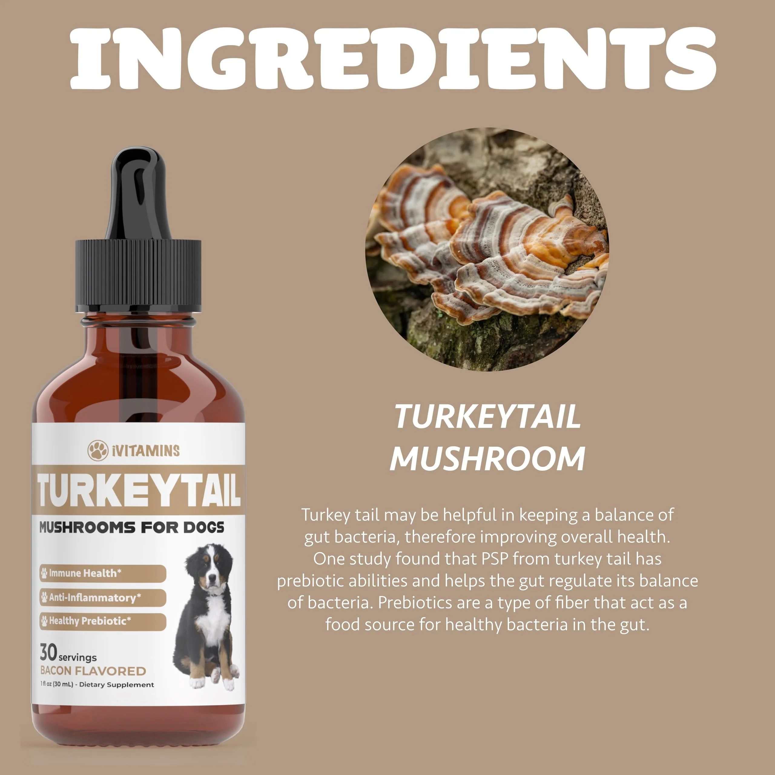 Turkey Tail Mushroom for Dogs | Helps to Boost The Immune System, is a Healthy Prebiotic, & Much More | Turkey Tail for Dogs | Mushrooms for Dogs | Dog Mushroom Supplements | 1 fl oz - Image 7