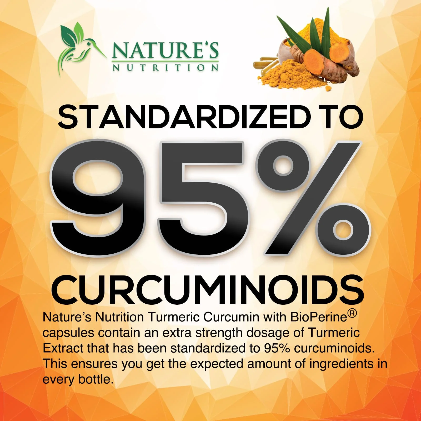 Turmeric Curcumin Supplement - 2400mg Organic Turmeric Per Serving - 95% Curcuminoids & BioPerine Black Pepper Extract for Best Absorption - Natural Vegan Joint Support, Bottled in USA - 120 Capsules - Image 3