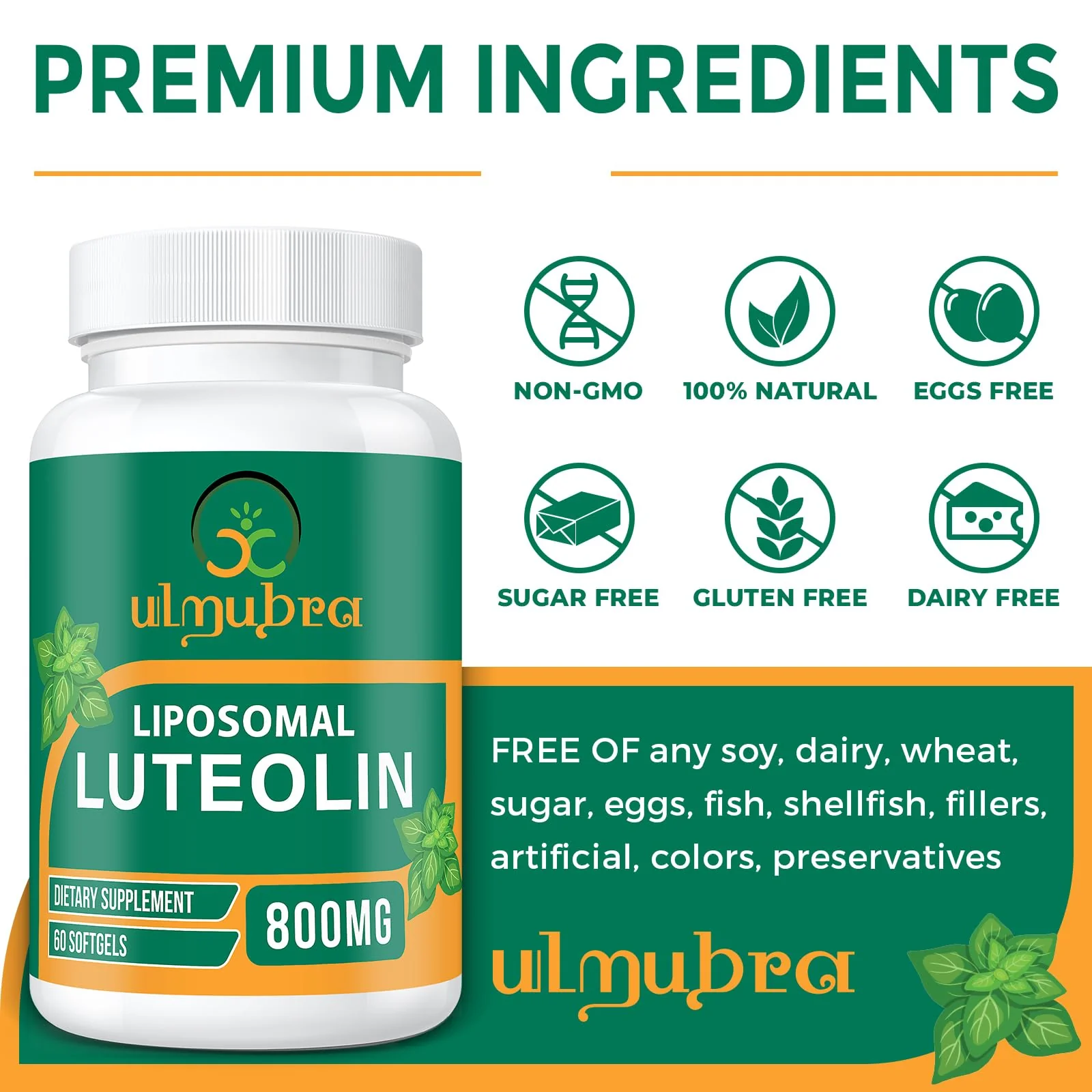 Ulmubra 800 MG Liposomal Luteolin Supplement - Maximum Absorption, Premium Antioxidant Supplement for Brain & Overall Well-Being, 60 Softgels - 30-Day Supply - Image 2