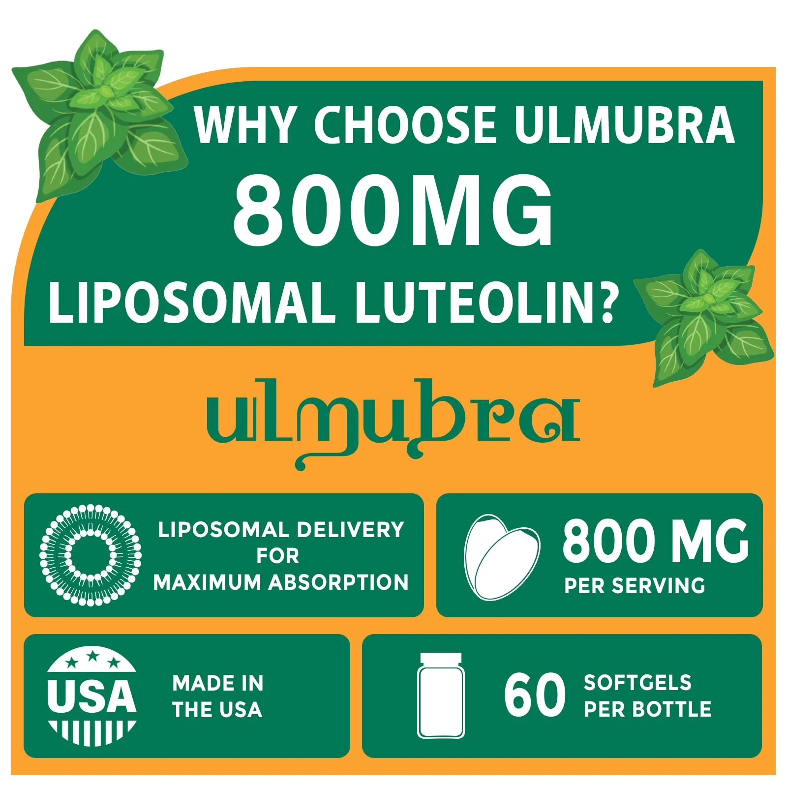 Ulmubra 800 MG Liposomal Luteolin Supplement - Maximum Absorption, Premium Antioxidant Supplement for Brain & Overall Well-Being, 60 Softgels - 30-Day Supply - Image 6
