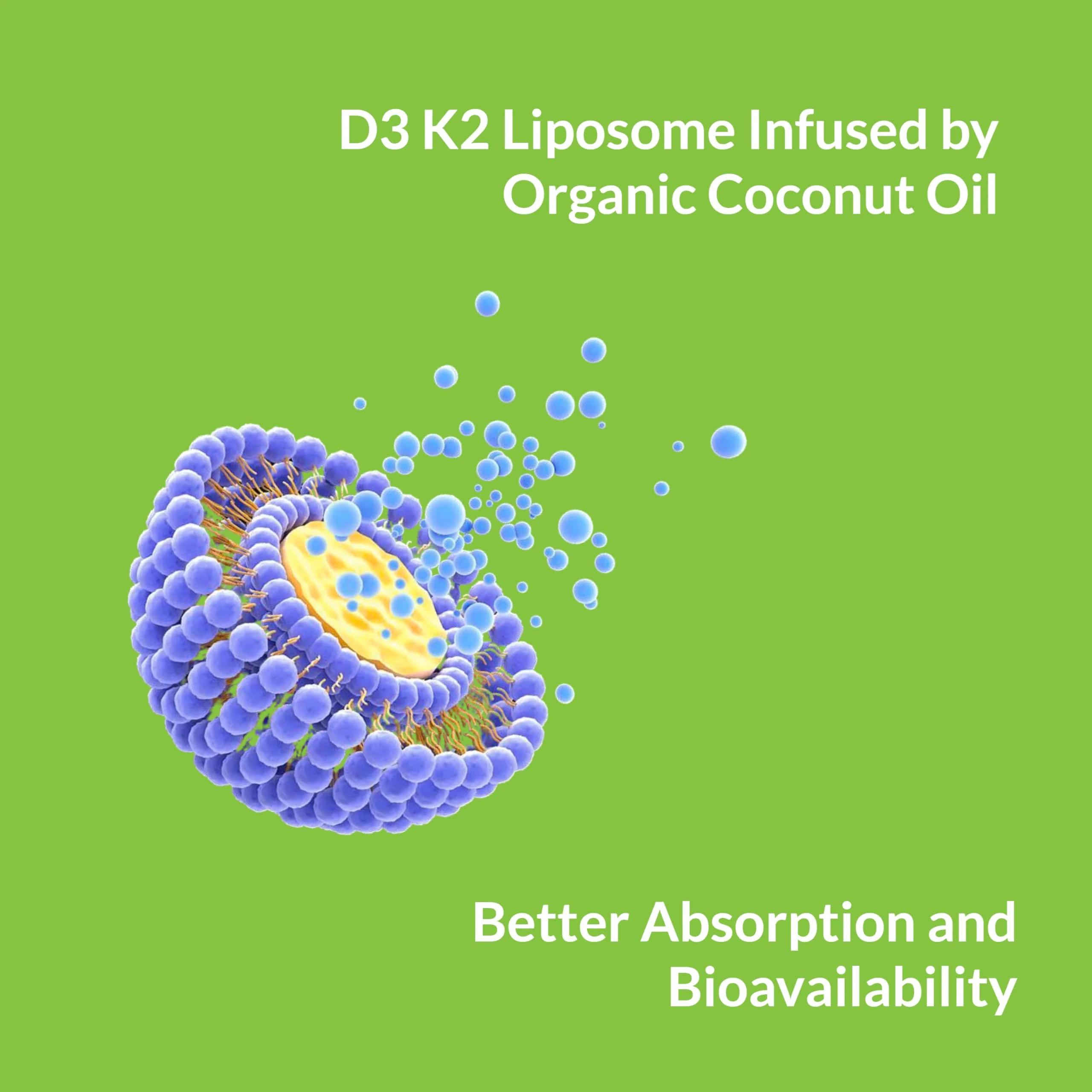 UpNourish Liposomal Vitamin D3 50000 IU (Vitamina D3 de 50000) with 1000 mcg Vitamin K, High Dose Vitamin D3 K2, Vitamin D 50000 IU with K1, K2 MK-4 and MK-7, 120 Mini Softgels - Image 2
