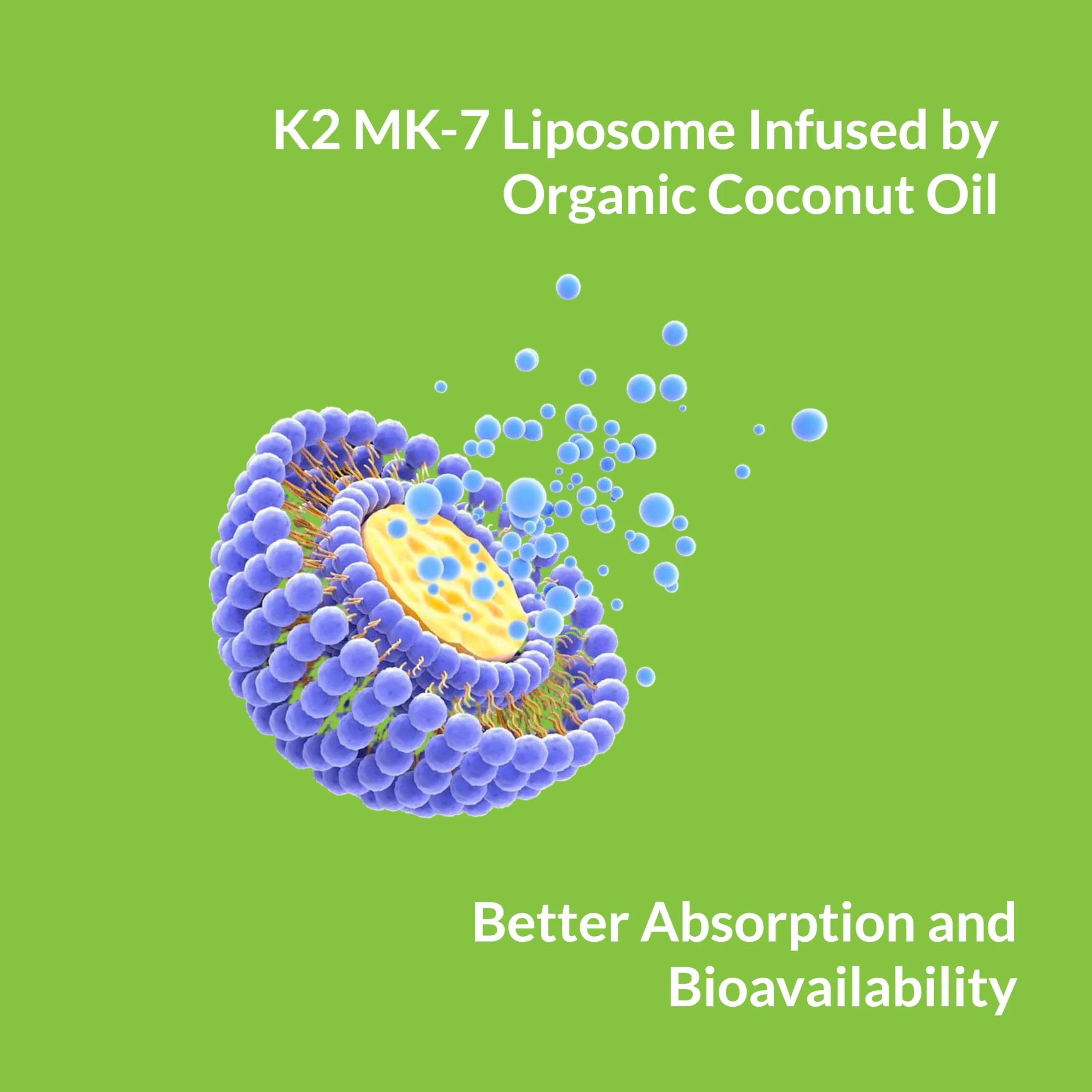 UpNourish Liposomal Vitamin K2 MK7 180 mcg - 180 K2 Vitamin Supplement Softgels for Women and Men - VIT K2 MK-7 with High Absorption - Image 2