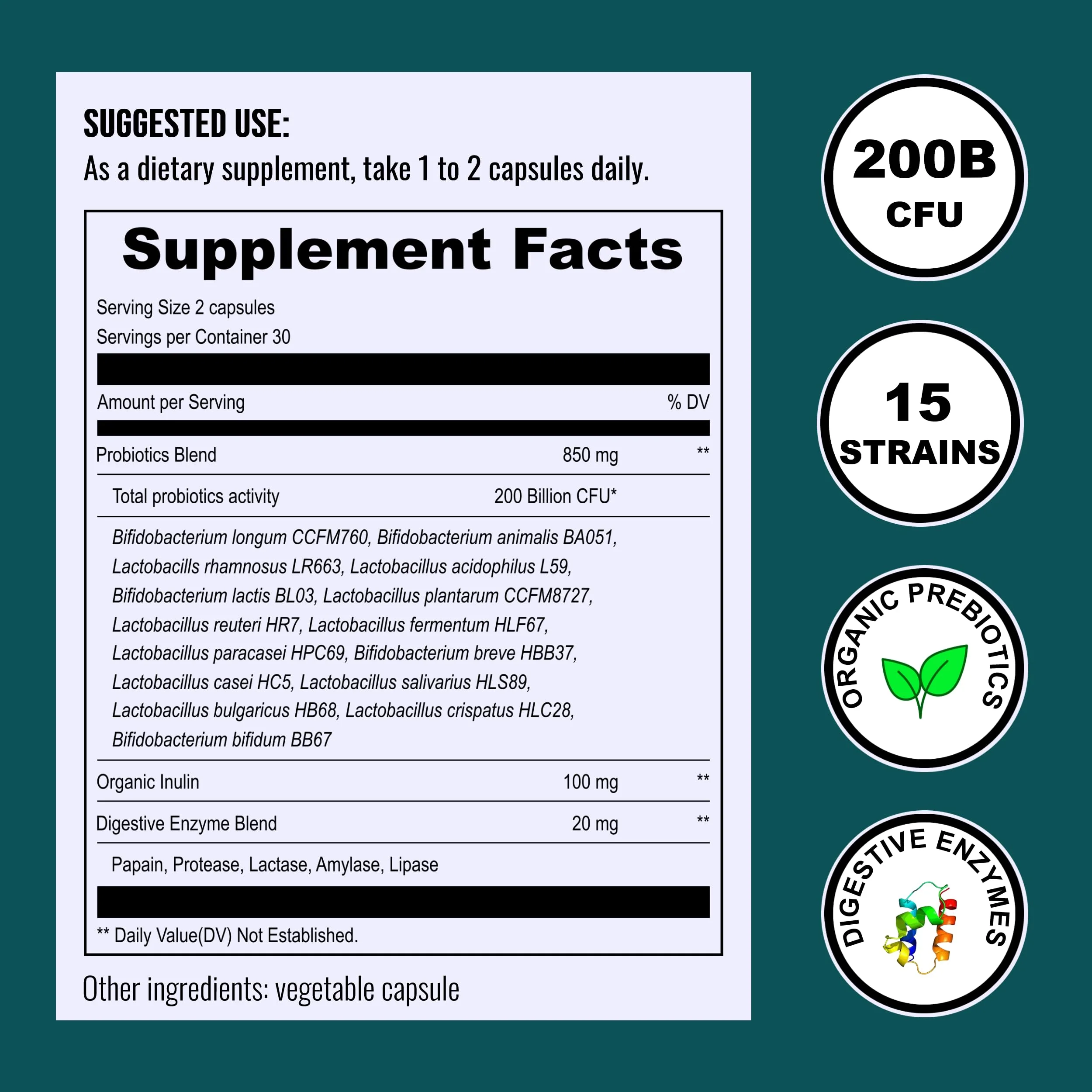 UpNourish Probiotics - 200 Billion CFUs for Men and Women, 15 Clinically Studied Strains, Prebiotics & Enzymes - 60 Vegan Capsules - Image 3