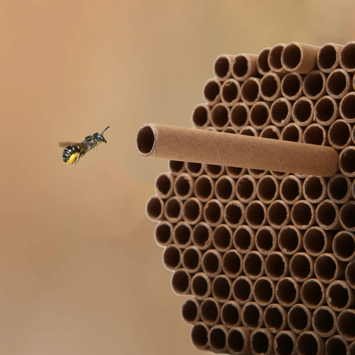 URATOT 200 Pieces Mason Bee Tubes, 6 Inches, Brown Kraft Paper, Bee Houses, Refill Tubes - Image 4