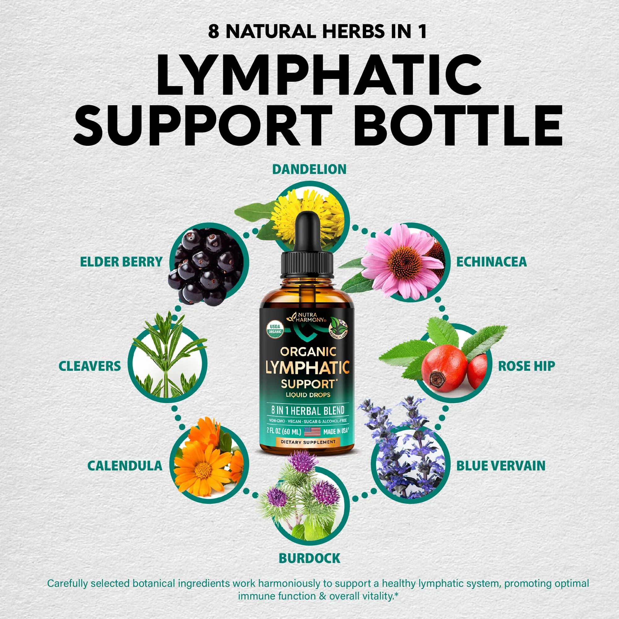 USDA Organic Lymphatic Drainage Supplement - Echinacea | Elderberry | Dandelion | Rosehip | Cleavers | Calendula | Burdock - Made in USA - Lymph System Drops - Immune Support, Cleanse & Detox, 2 Pack - Image 5