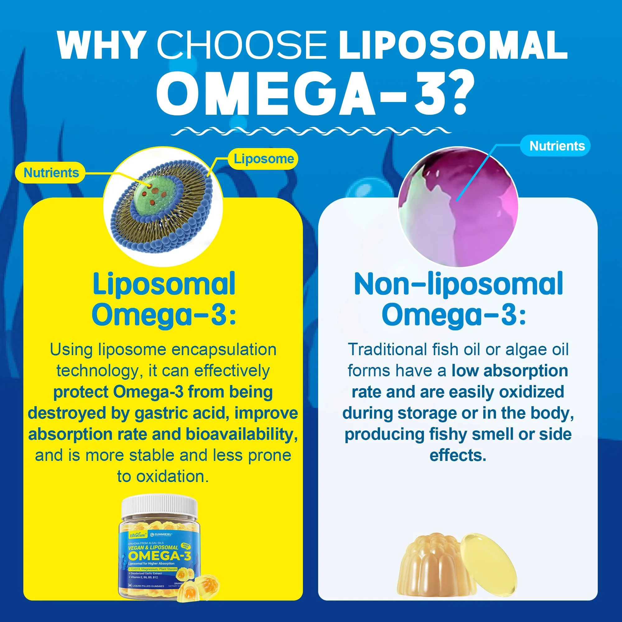 Vegan Omega-3 Gummies 1000mg +CoQ10+Magnesium- EPA 600mg DHA 400mg, Fish Oil Omega 3 Supplements Alternative for Women Men Adults, Liposomal, Algae, Plant Sterols, Garlic,B6,B9, B12, Sugar Free, 2Pack - Image 6