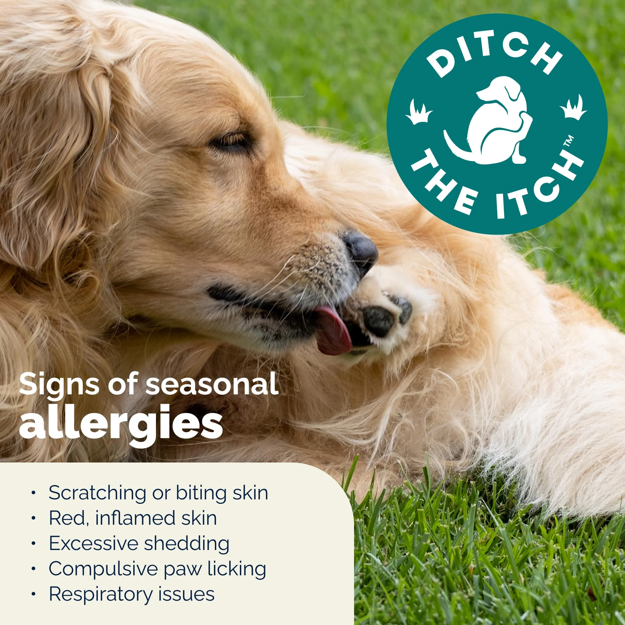 Vetnique DermaBliss Dog Allergy Chews for Seasonal Allergy Itch Relief, Skin & Gut Health with Probiotics and Omega 3 Blend - Advanced or Regular Strength (120ct, Regular Strength Chews) - Image 5