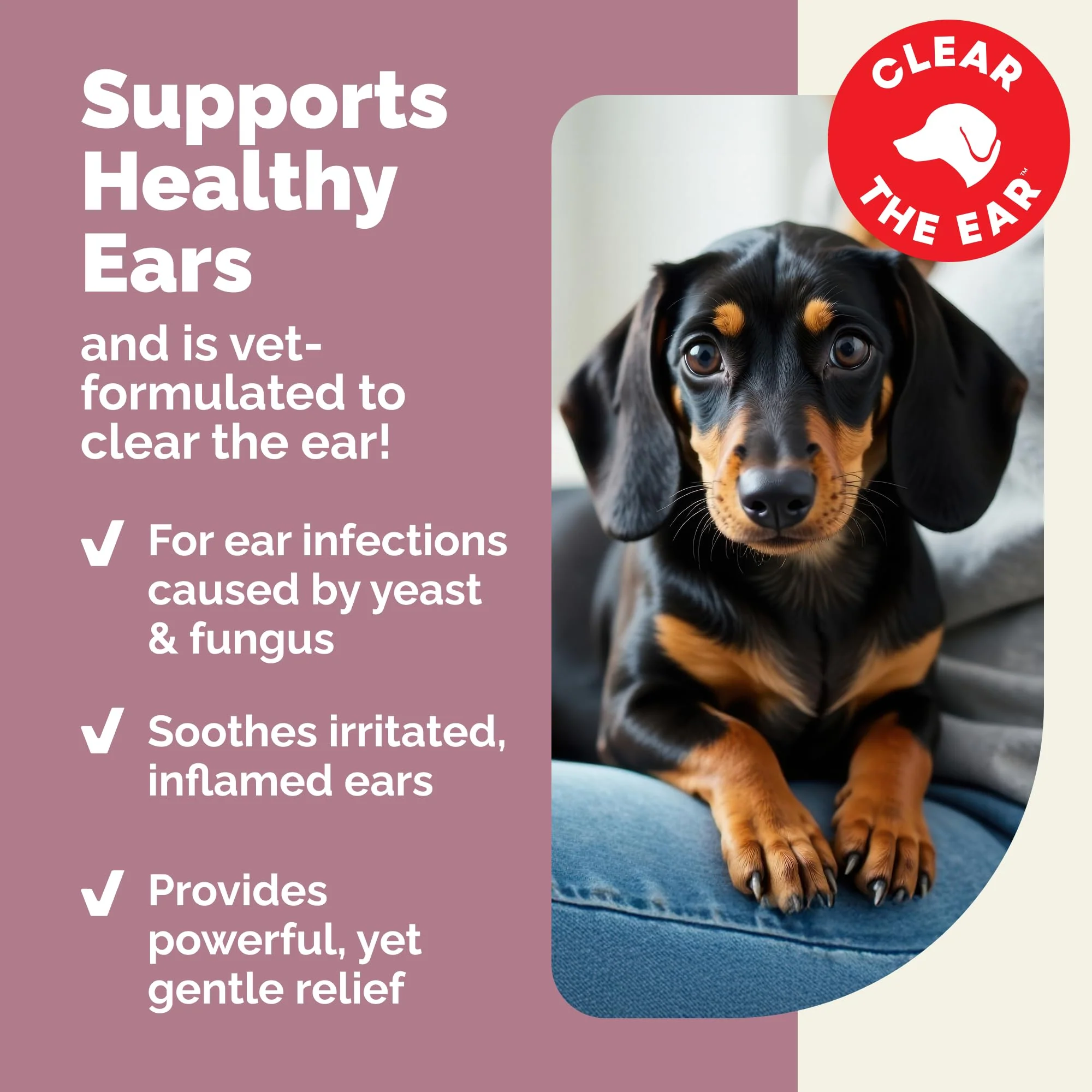 Vetnique Oticbliss Cat & Dog Ear Infection Treatment | Dog Ear Allergy Relief Drops, MicroSilver Yeast Infection Treatment for Dogs, Hydrocortisone for Itching, Redness Swelling (Ear Infection Drops) - Image 4