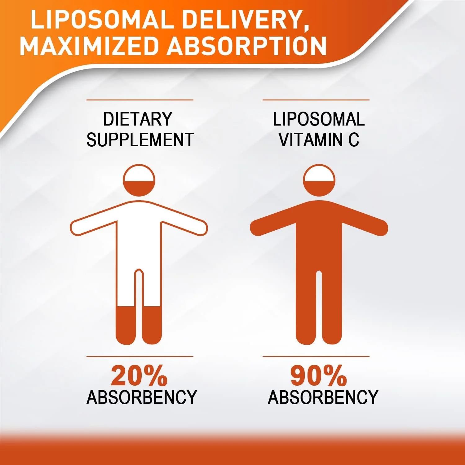 Vitablosom Liposomal Vitamin C 2000mg Liquid for Adults, High Absorption VIT C, Maximize Vitamin C, Immune System & Antioxidant Support, 60ML (4 Bottle) - Image 7