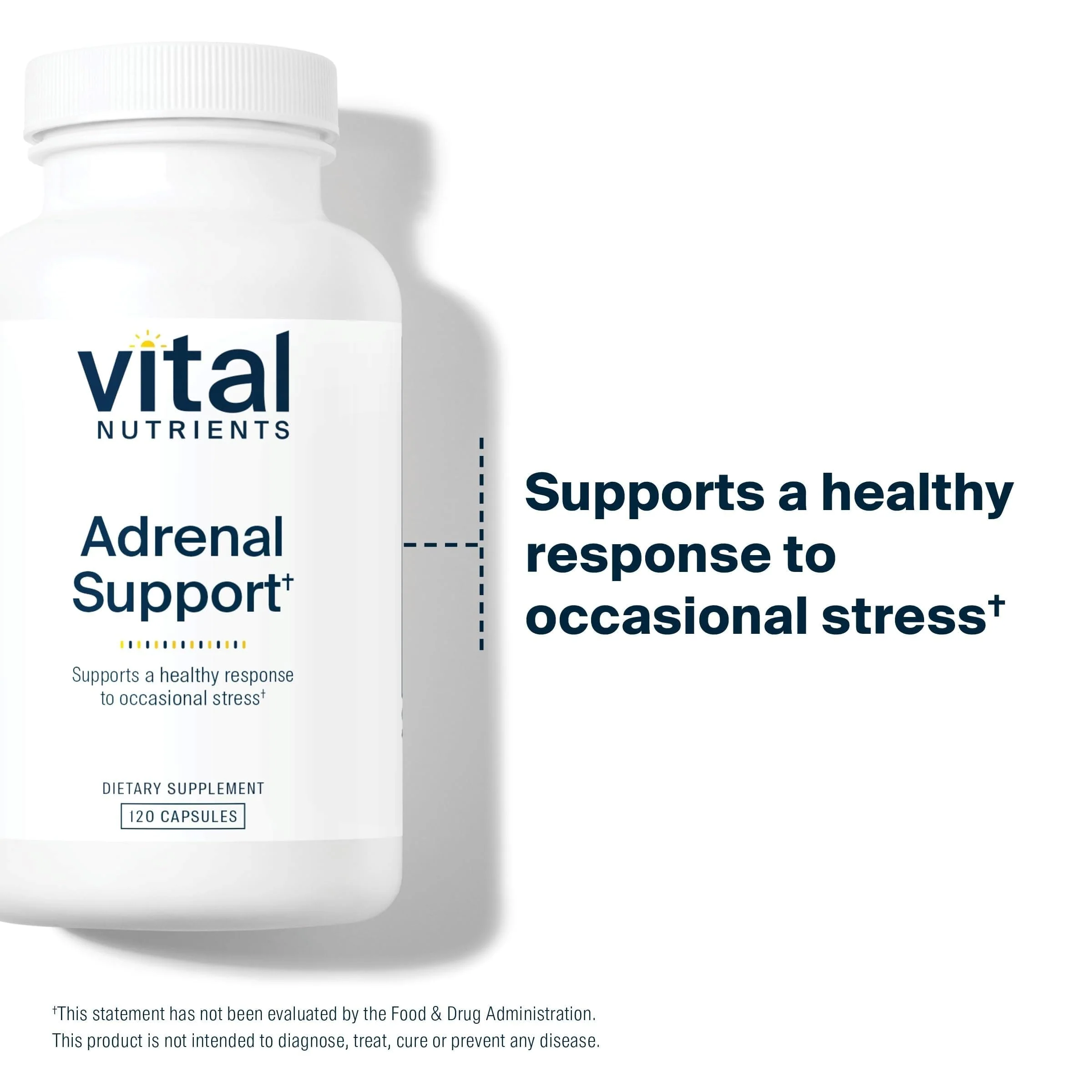 Vital Nutrients Adrenal Support - Adrenal Support Supplements for Gland Function and Cortisol Management - Supports Energy and Stress Levels - Gluten, Dairy, Soy Free - 120 Capsules - Image 4