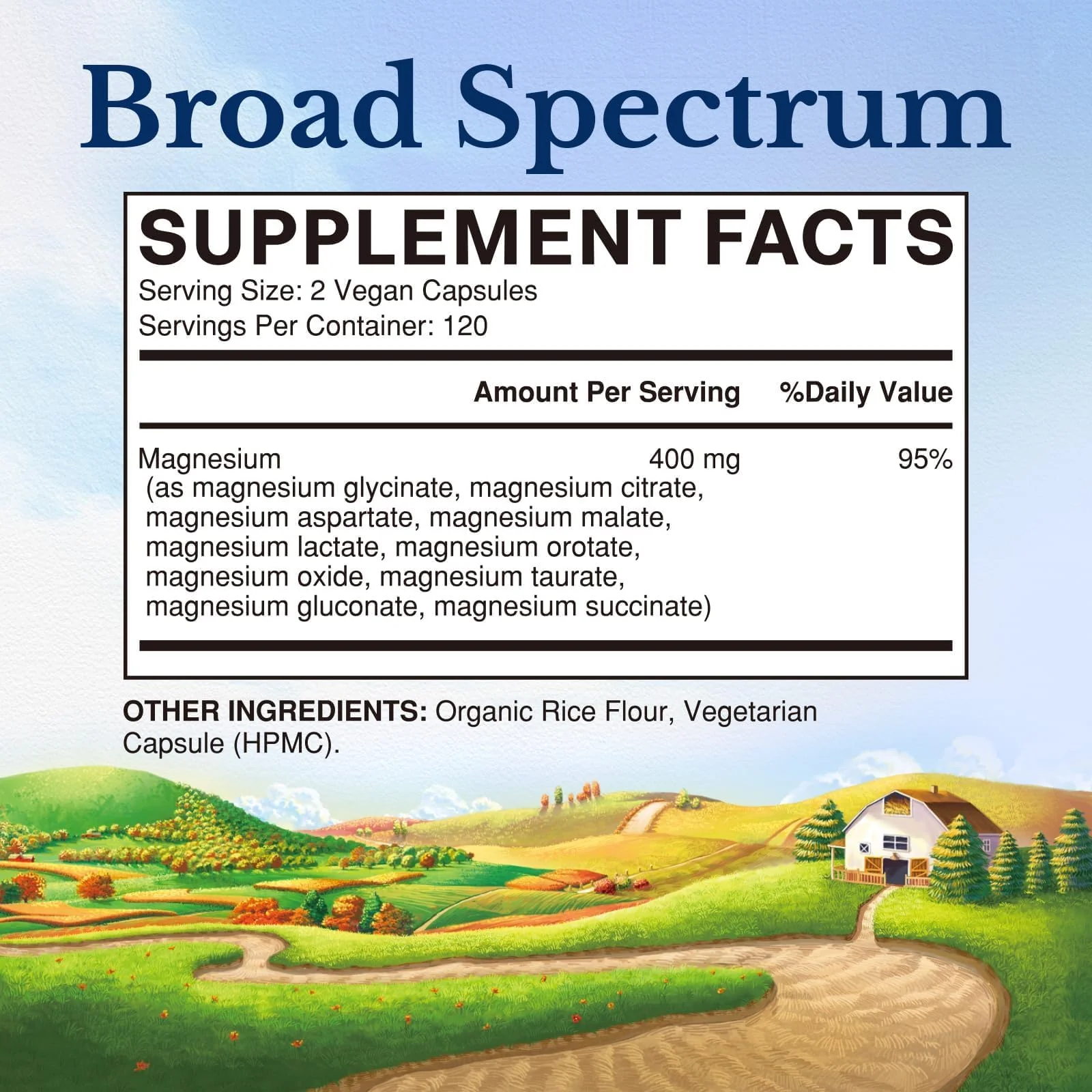 Vitalitown 10 in 1 Magnesium Complex Supplement - 400mg Elemental Magnesium Chelated with Glycinate, Citrate, Malate, Taurate & More - for Sleep Heart Energy, Non-GMO, Vegan, 240 Caps - Image 9