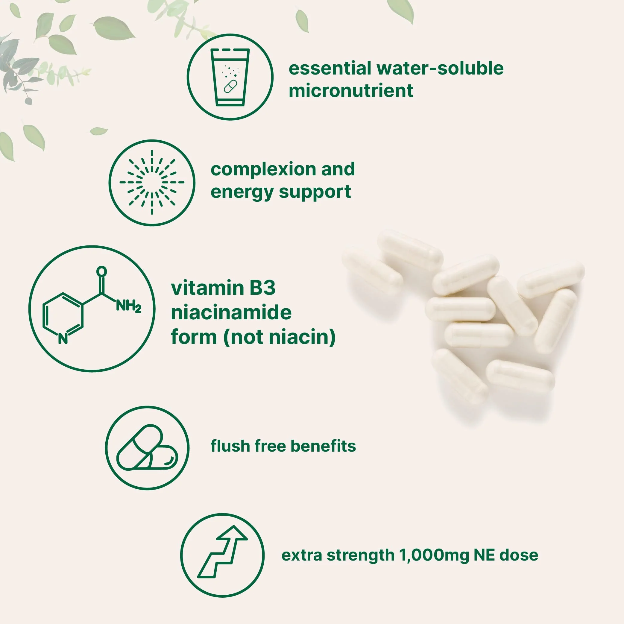 Vitamin B3 Niacinamide 500mg Per Capsule, 400 Capsules | 1,000mg Flush Free Niacin Per Serving, Essential B Vitamin Supplement | Non-GMO, Gluten Free - Image 5
