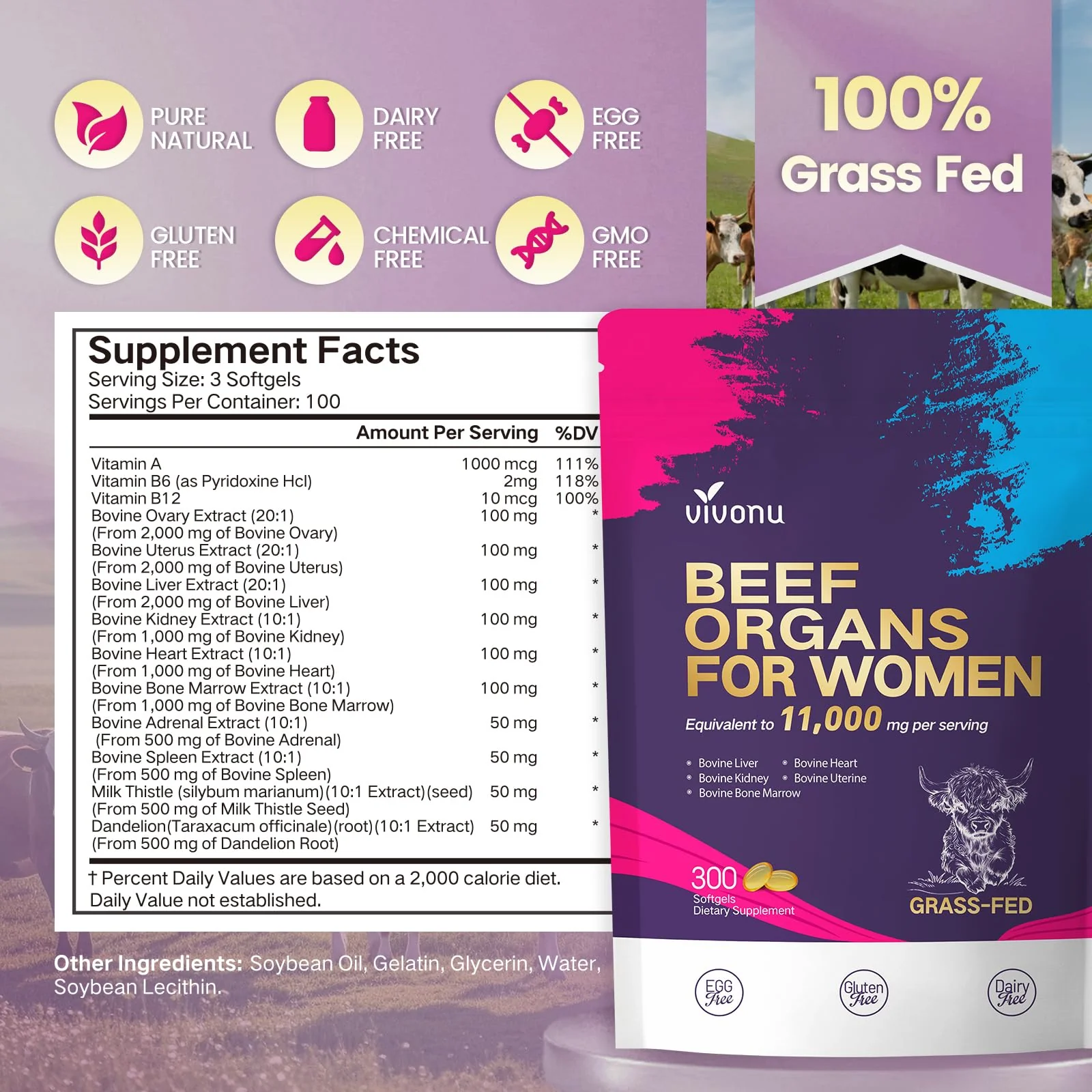 VivoNu Beef Organ Supplement for Women, 300 Day Supply, 11000mg per Serving Beef Organs with Bovine Liver, Ovary, Uterus, Kidney, Heart, Bone & More, 100% Grass Fed, Balance Hormones, Energy, 3 Bag - Image 3