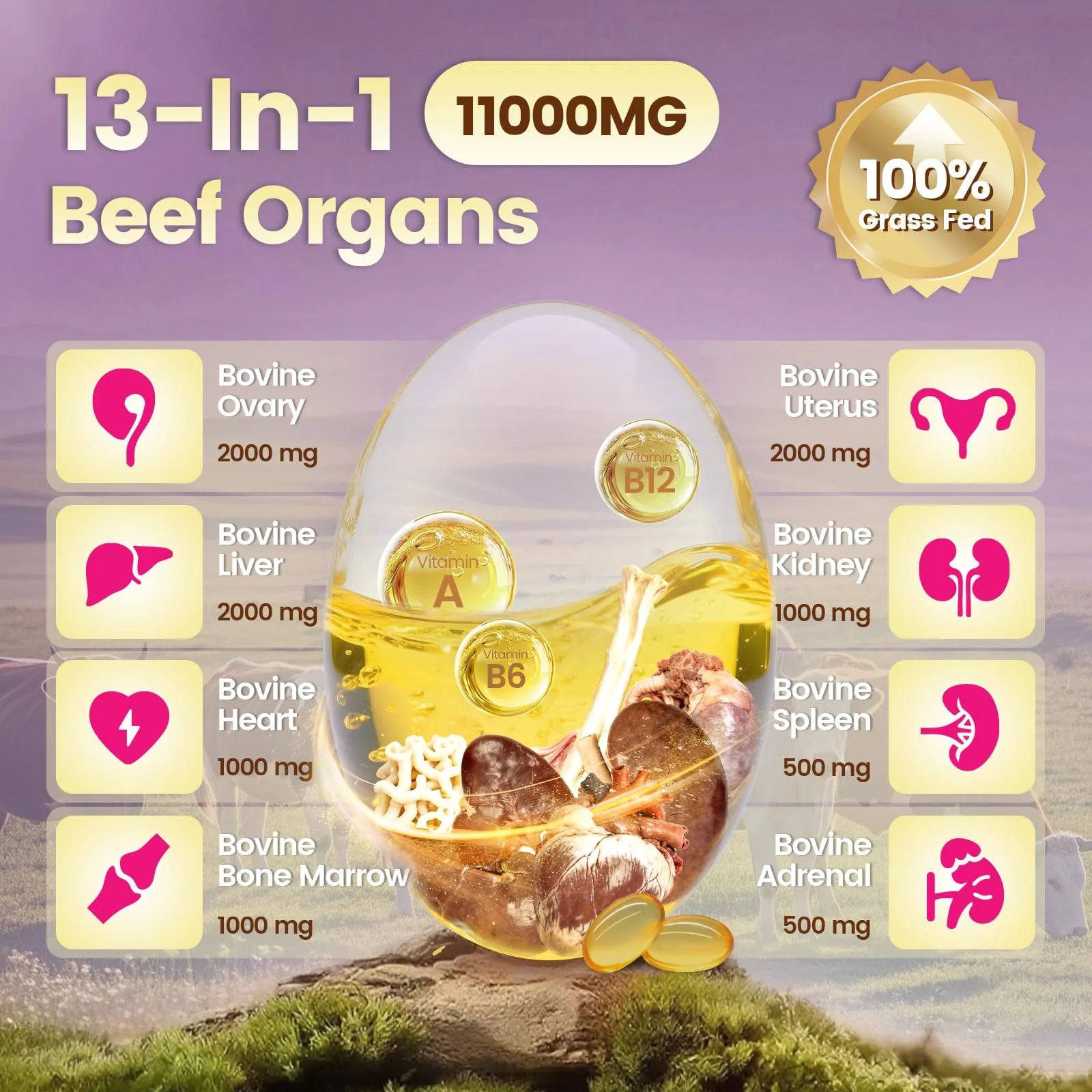 VivoNu Beef Organ Supplement for Women, 300 Day Supply, 11000mg per Serving Beef Organs with Bovine Liver, Ovary, Uterus, Kidney, Heart, Bone & More, 100% Grass Fed, Balance Hormones, Energy, 3 Bag - Image 8