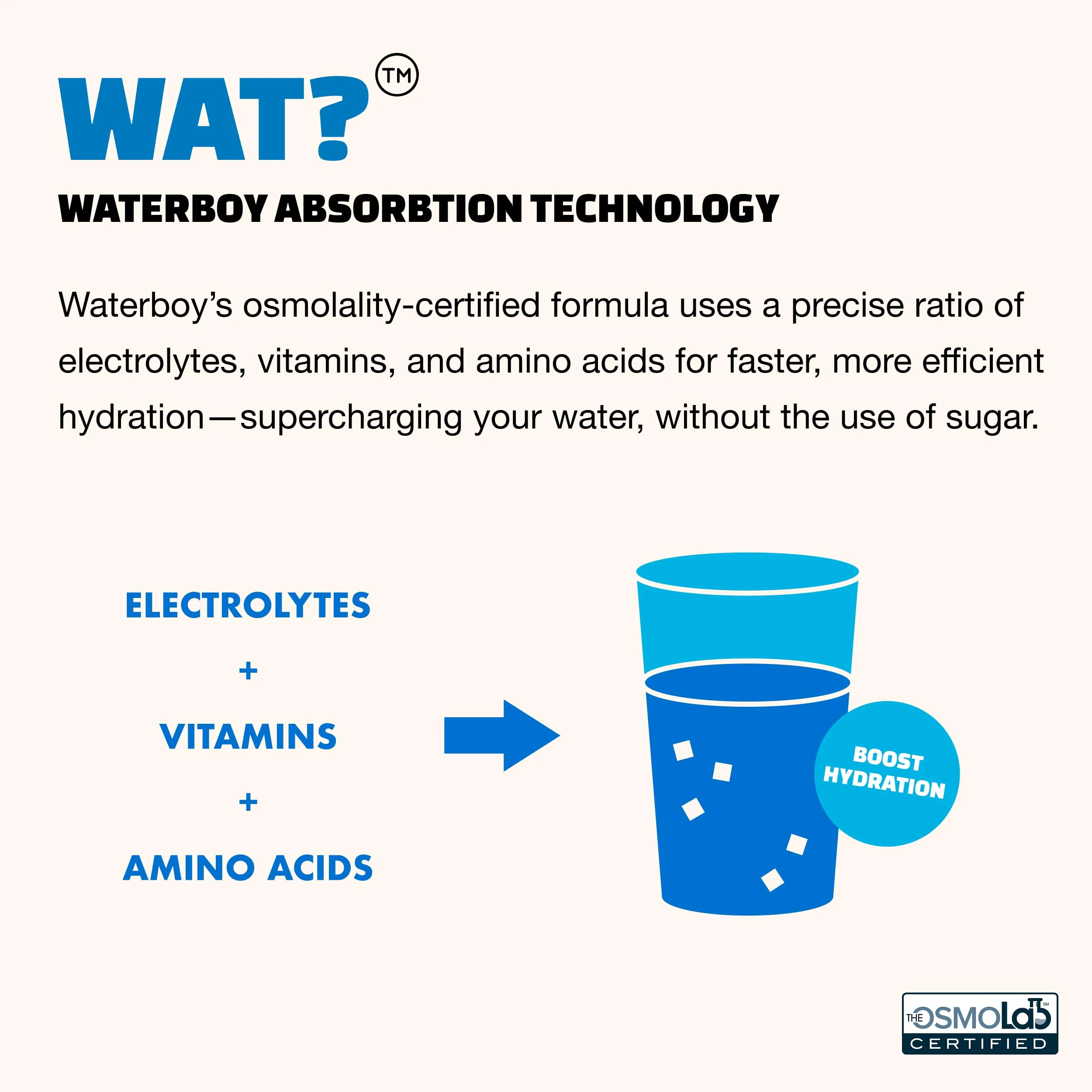 Waterboy Weekend Recovery x FOW | 3,200mg Electrolyte Powder Packets | Ginger + L-Theanine + Vitamins | No Sugar, All Natural, Gluten Free | 24 Drink Stick Mixes (Fruit Punch) - Image 6