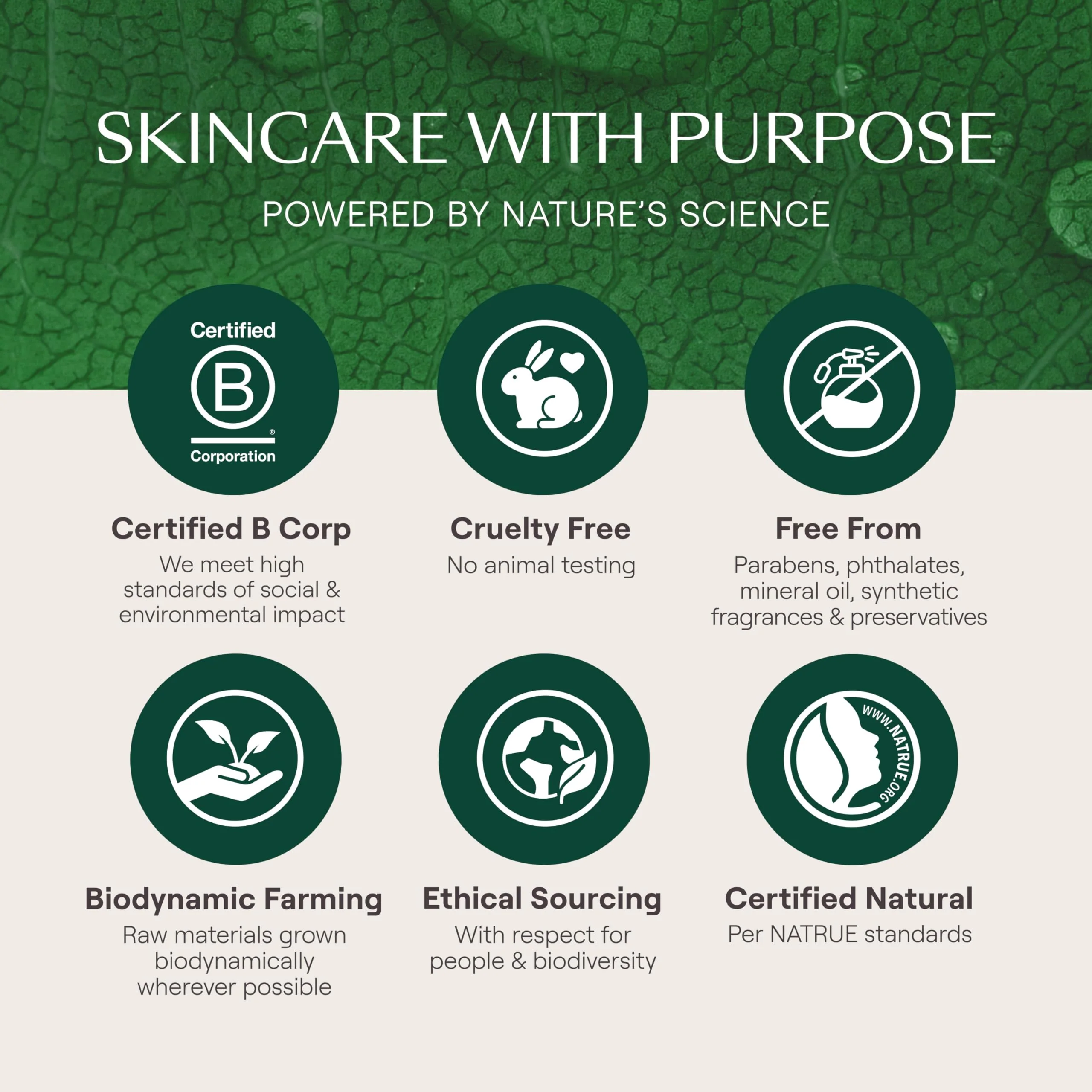 Weleda Skin Food Face Care Nourishing Oil-to-Milk Cleanser, 2.5 Fluid Ounce, Plant Rich Cleanser with Sunflower Seed Oil, Chamomile Extract and Pansy - Image 2